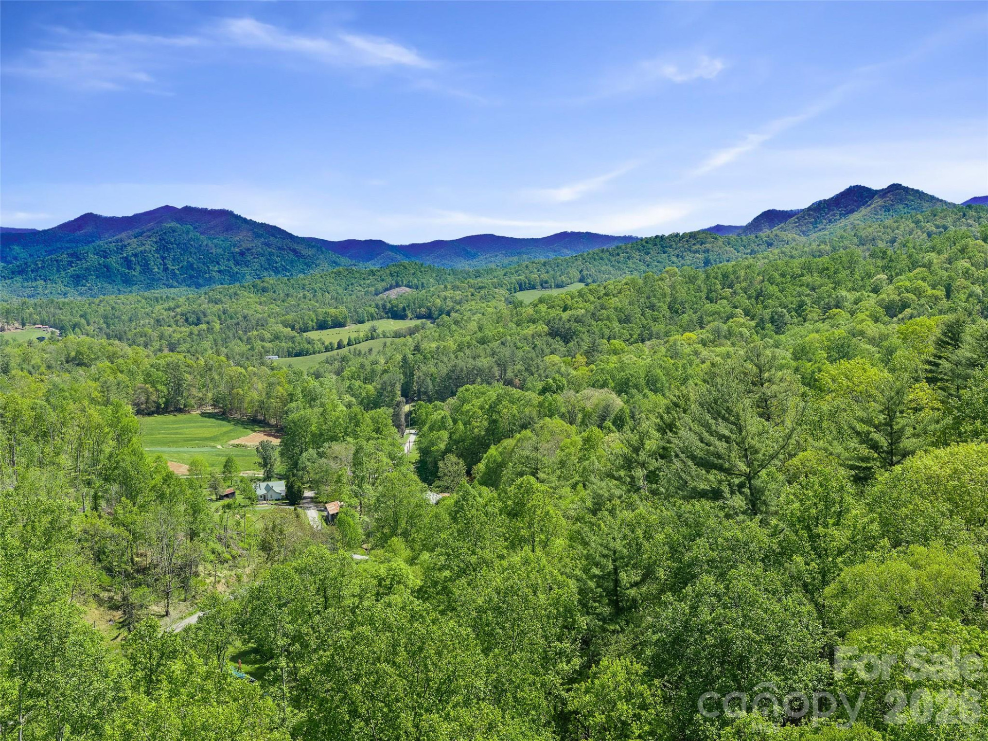 615 Fred Sparks Road - Photo 5