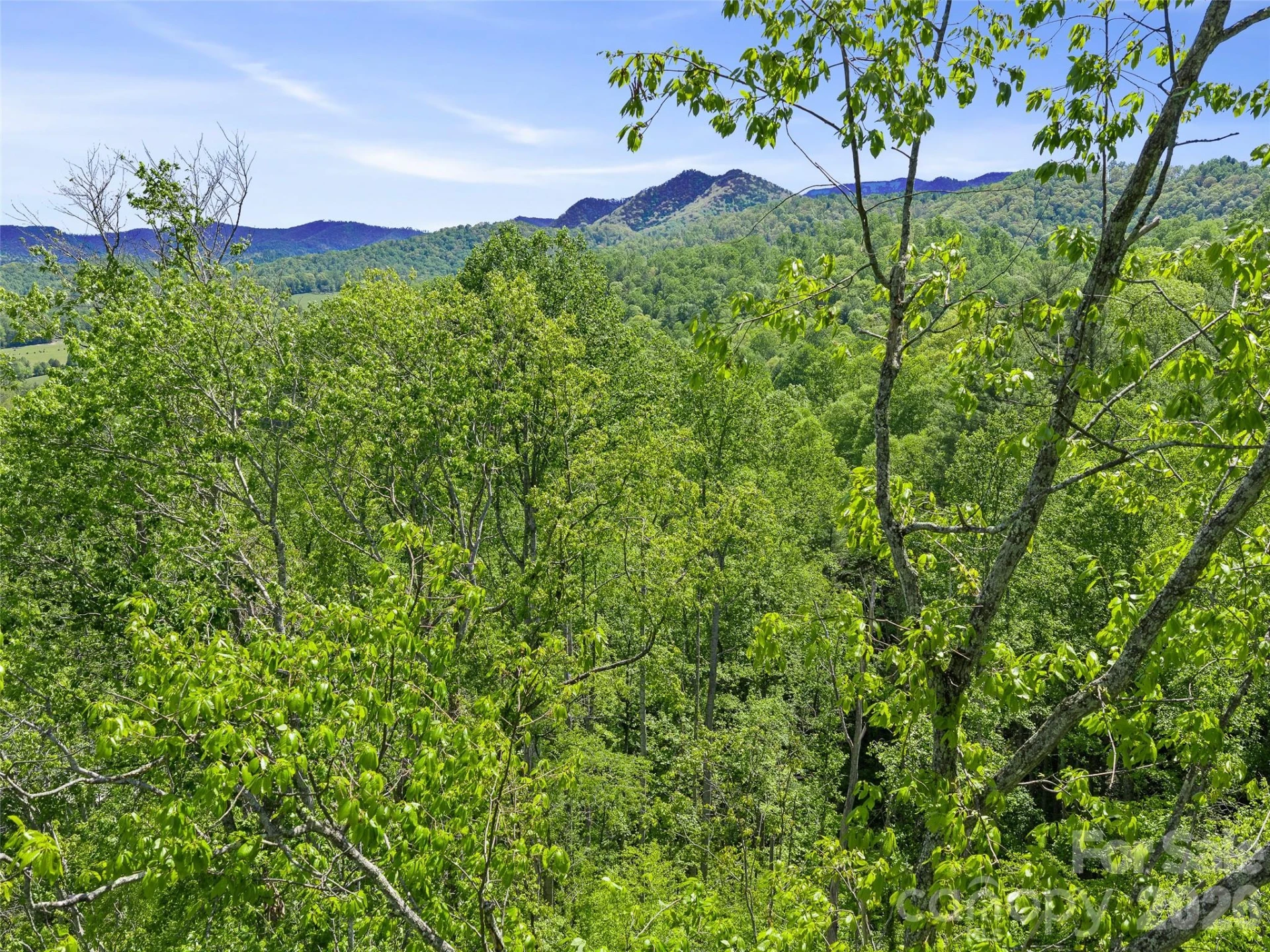 615 Fred Sparks Road - Photo 6