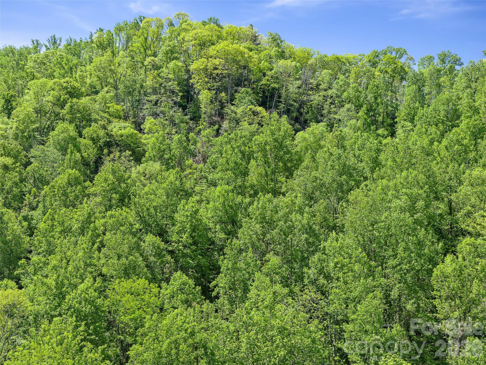 615 Fred Sparks Road - Photo 10