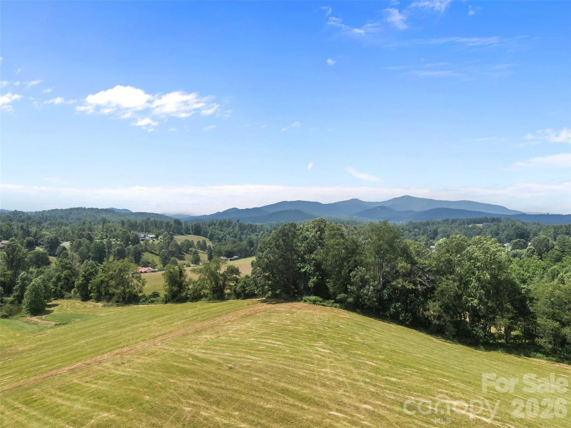 1305 Halltown Road - Photo 12