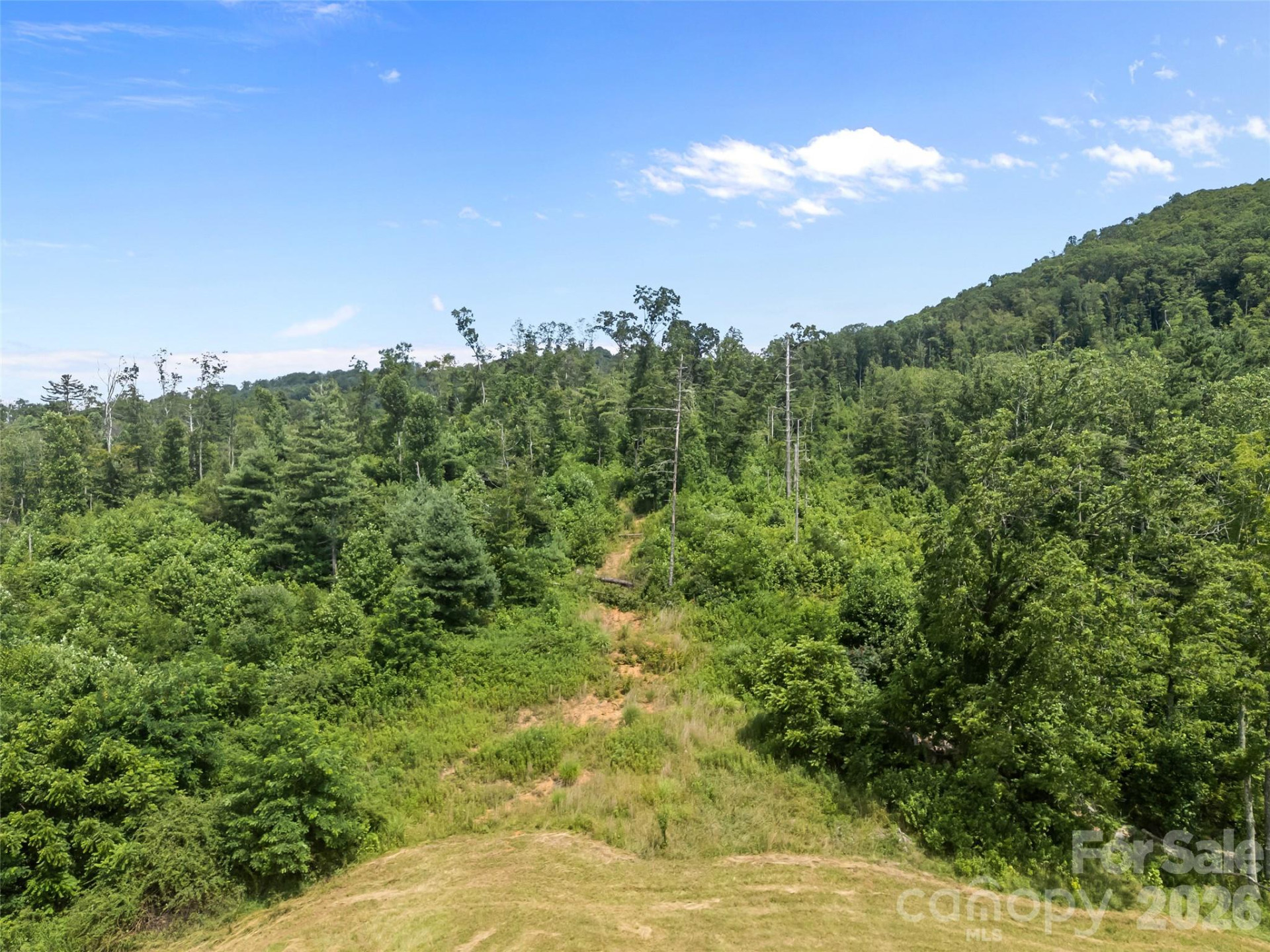 1305 Halltown Road - Photo 18