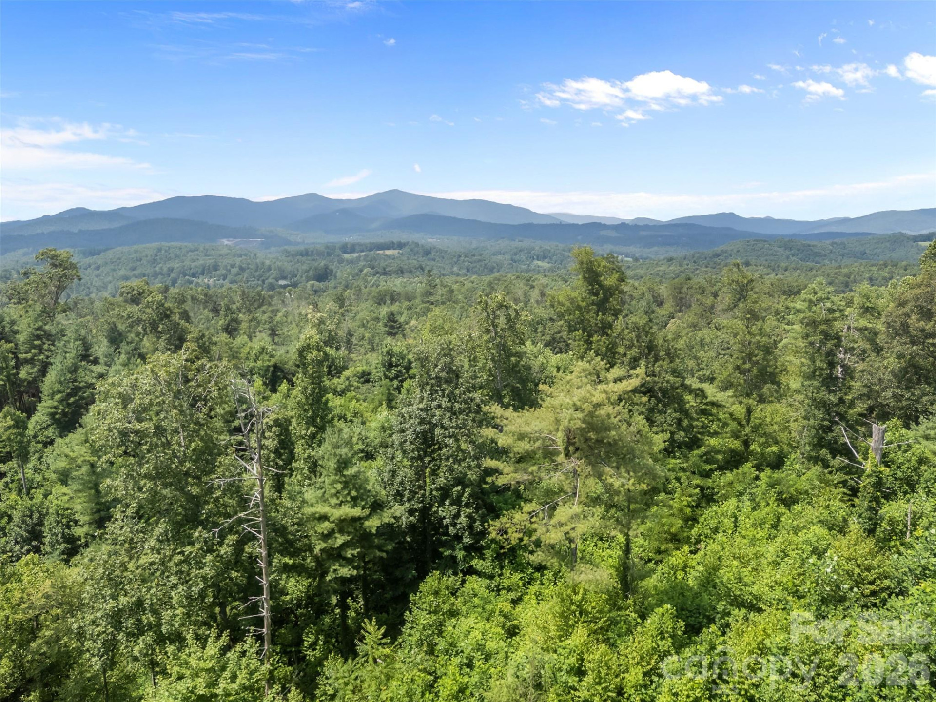 1305 Halltown Road - Photo 10