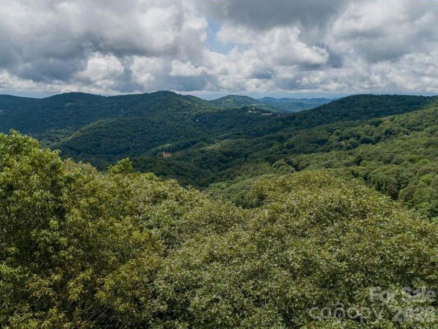 366 Birch Springs Lane, Mars Hill, NC, 28754