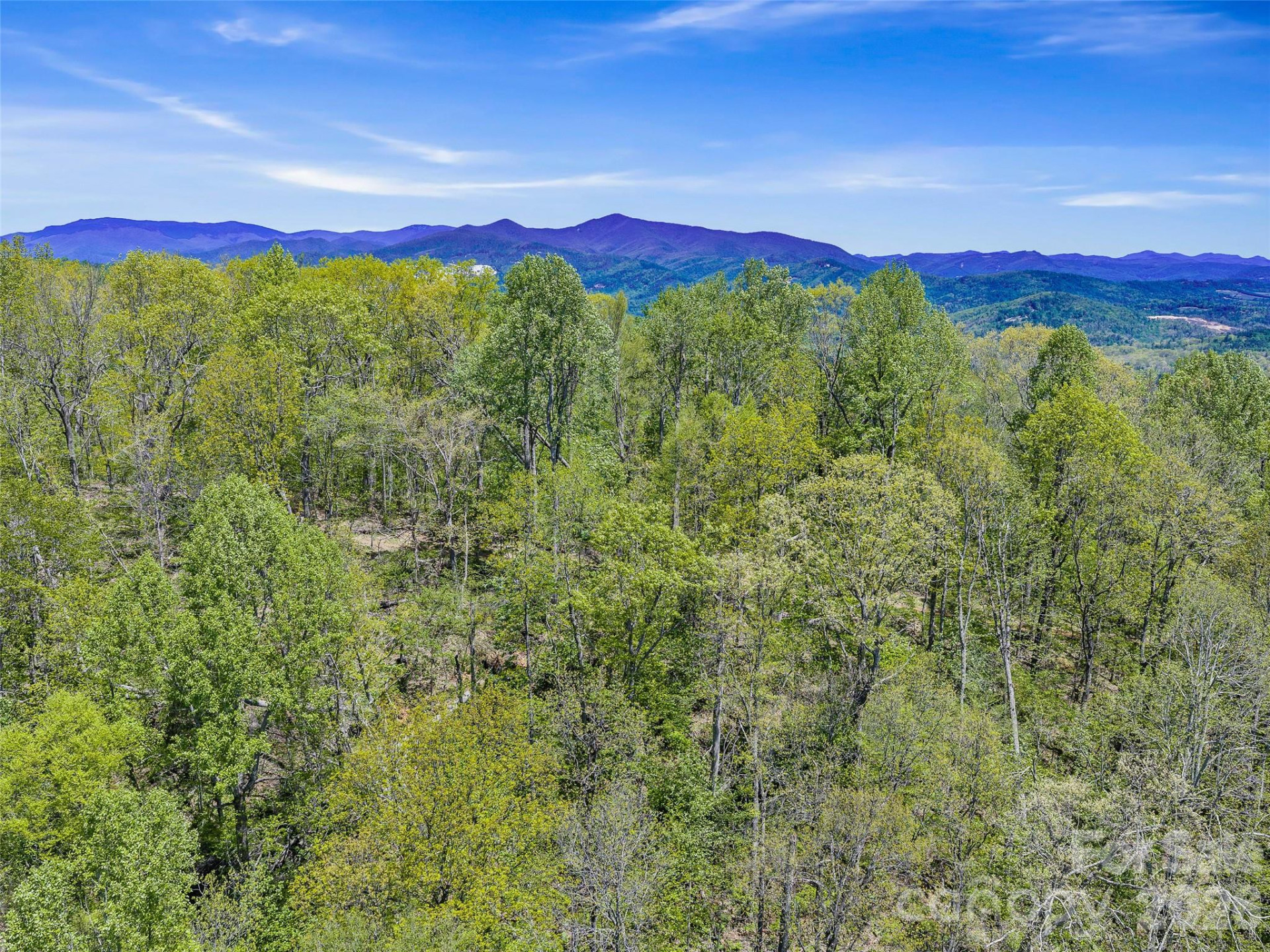 TBD Holly Dale Drive - Photo 2