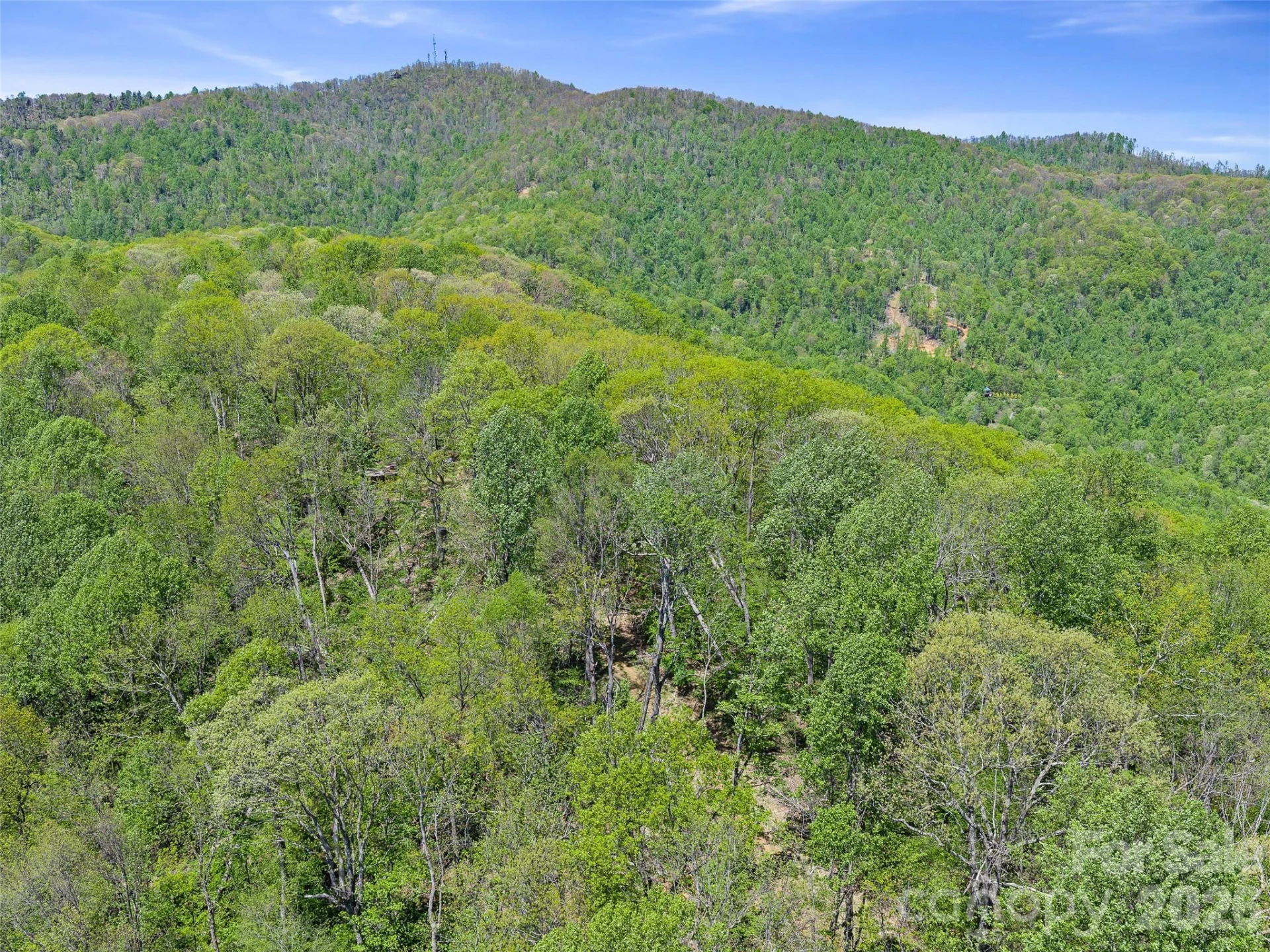 TBD Holly Dale Drive - Photo 12