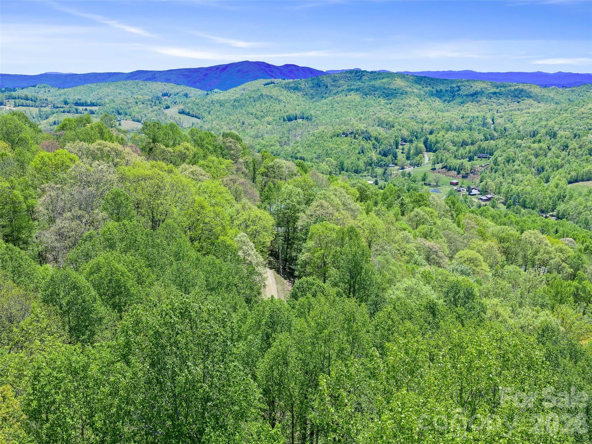 TBD Holly Dale Drive - Photo 13