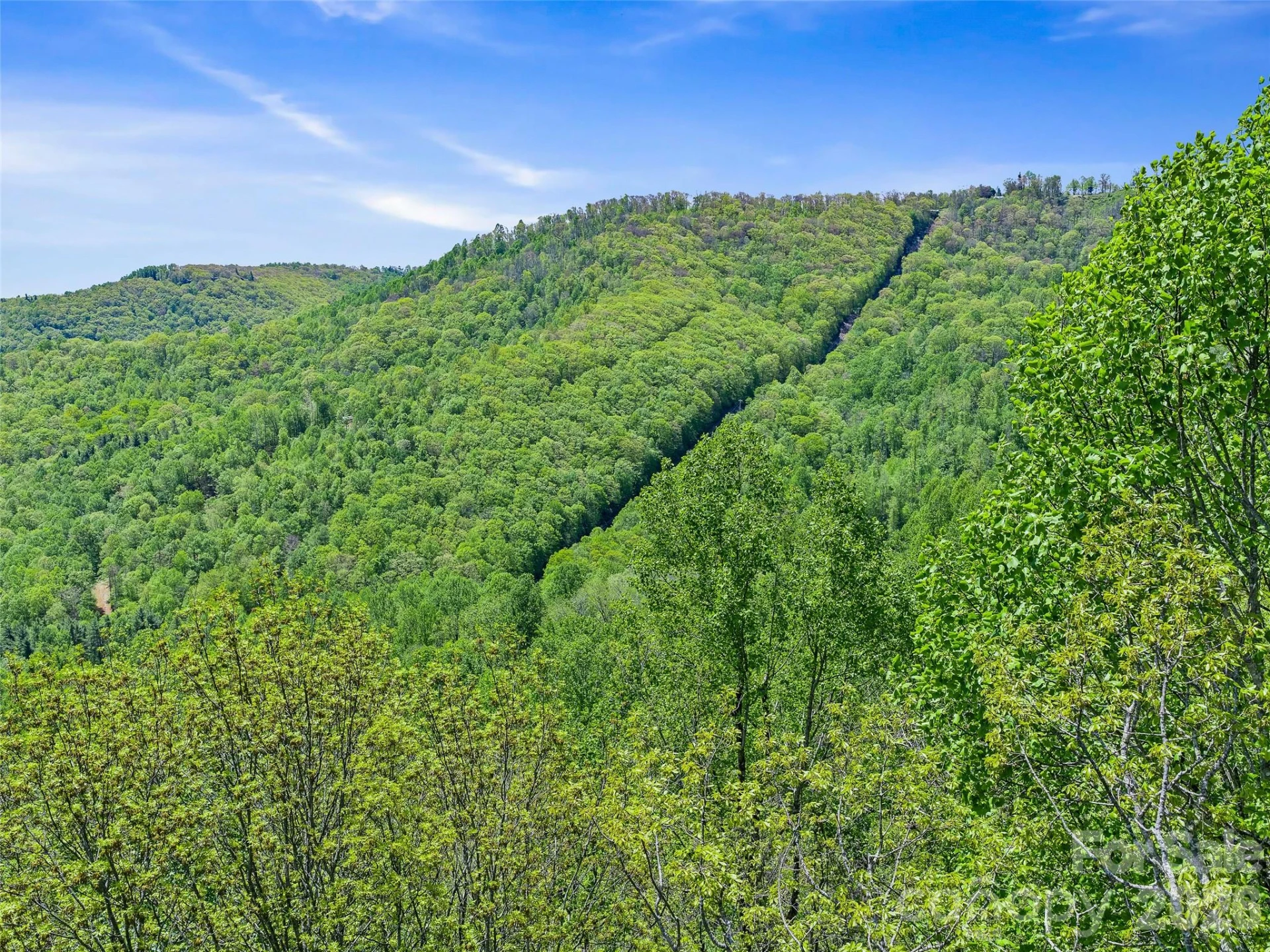 TBD Holly Dale Drive - Photo 4