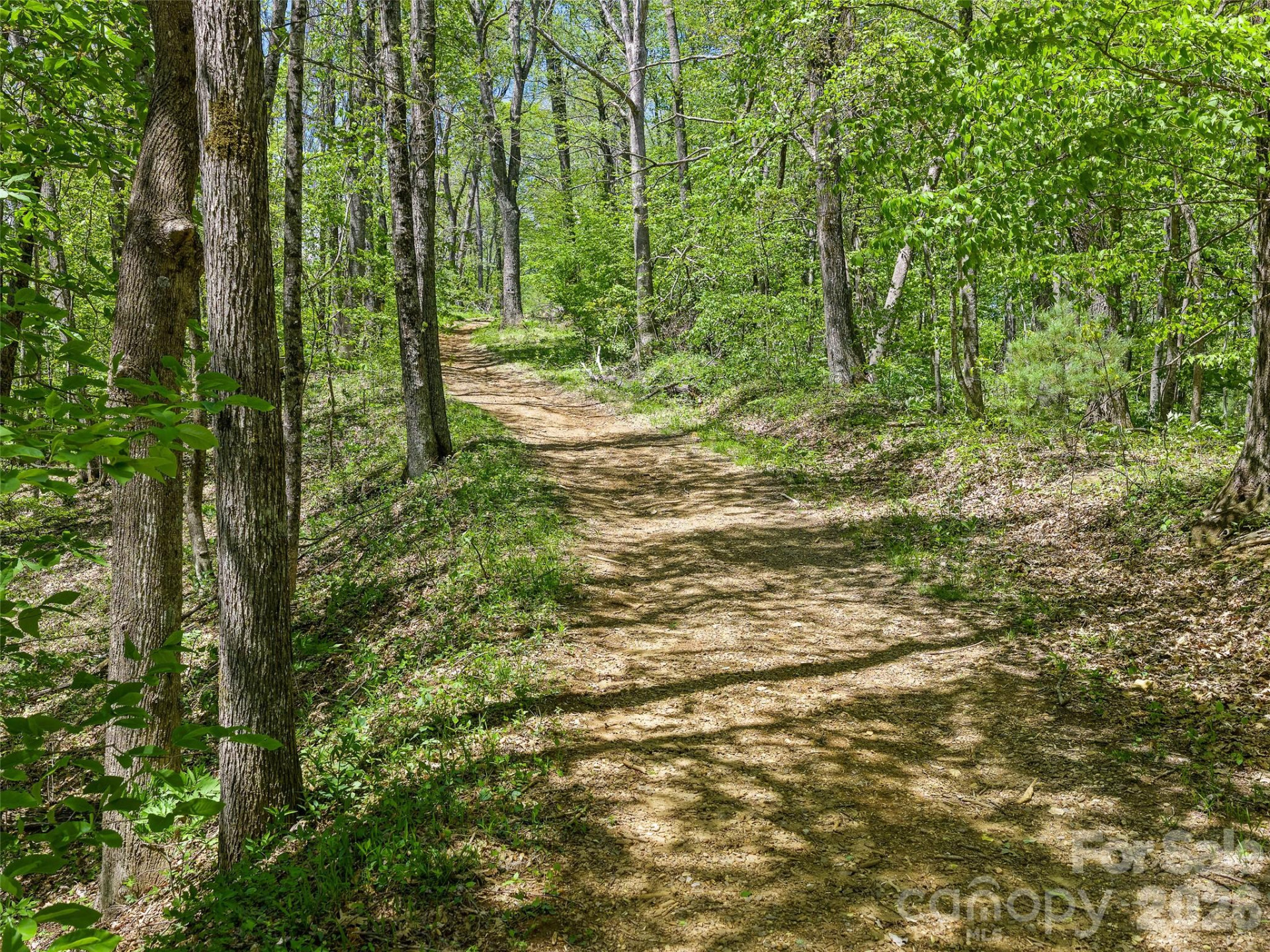 TBD Holly Dale Drive - Photo 5