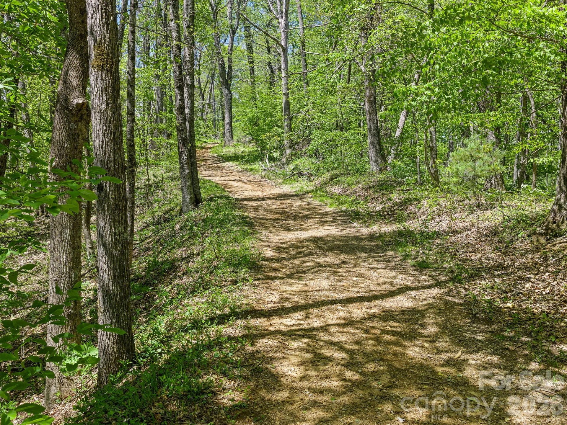 TBD Holly Dale Drive - Photo 5