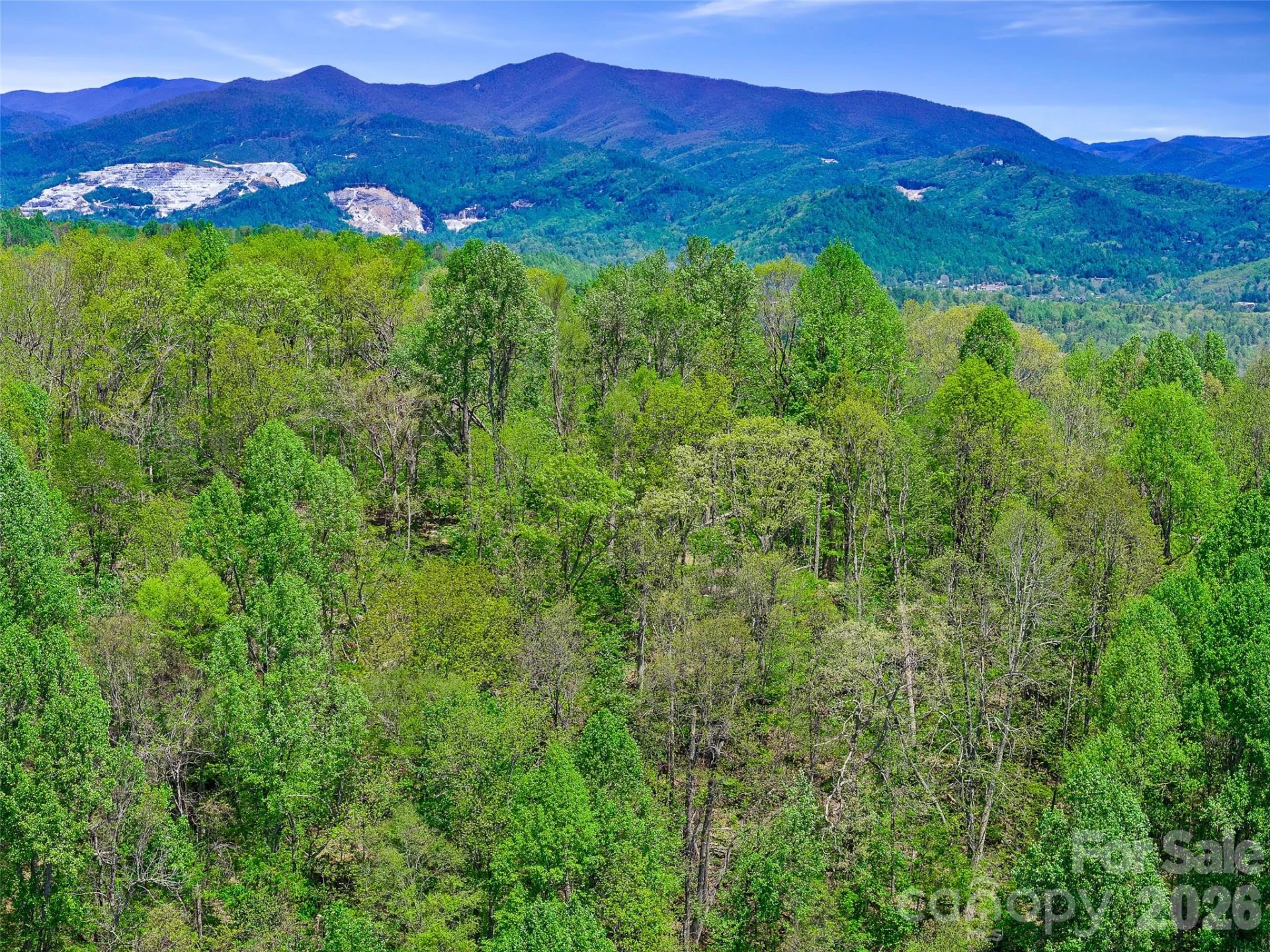 TBD Holly Dale Drive - Photo 6