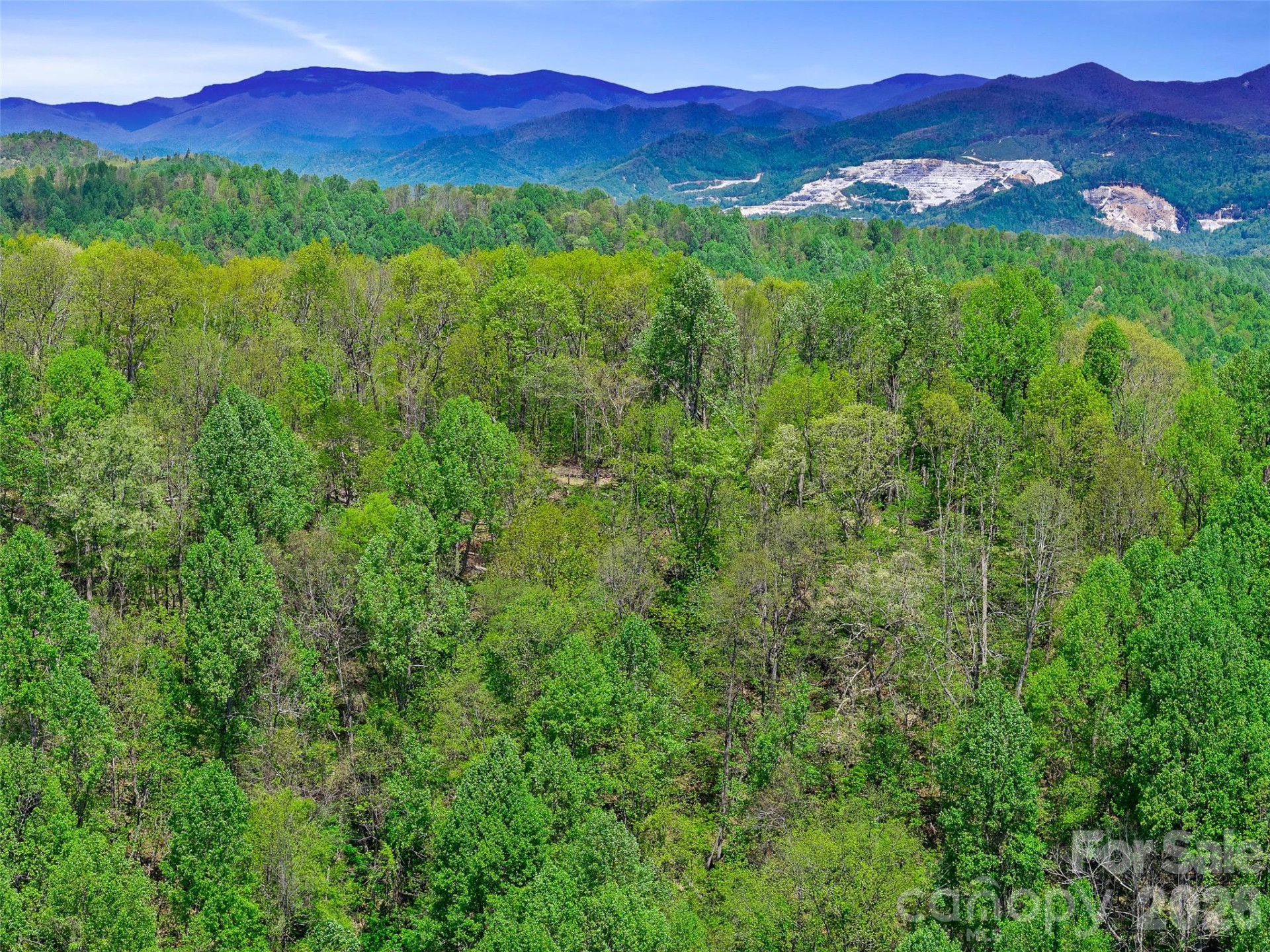 TBD Holly Dale Drive - Photo 7
