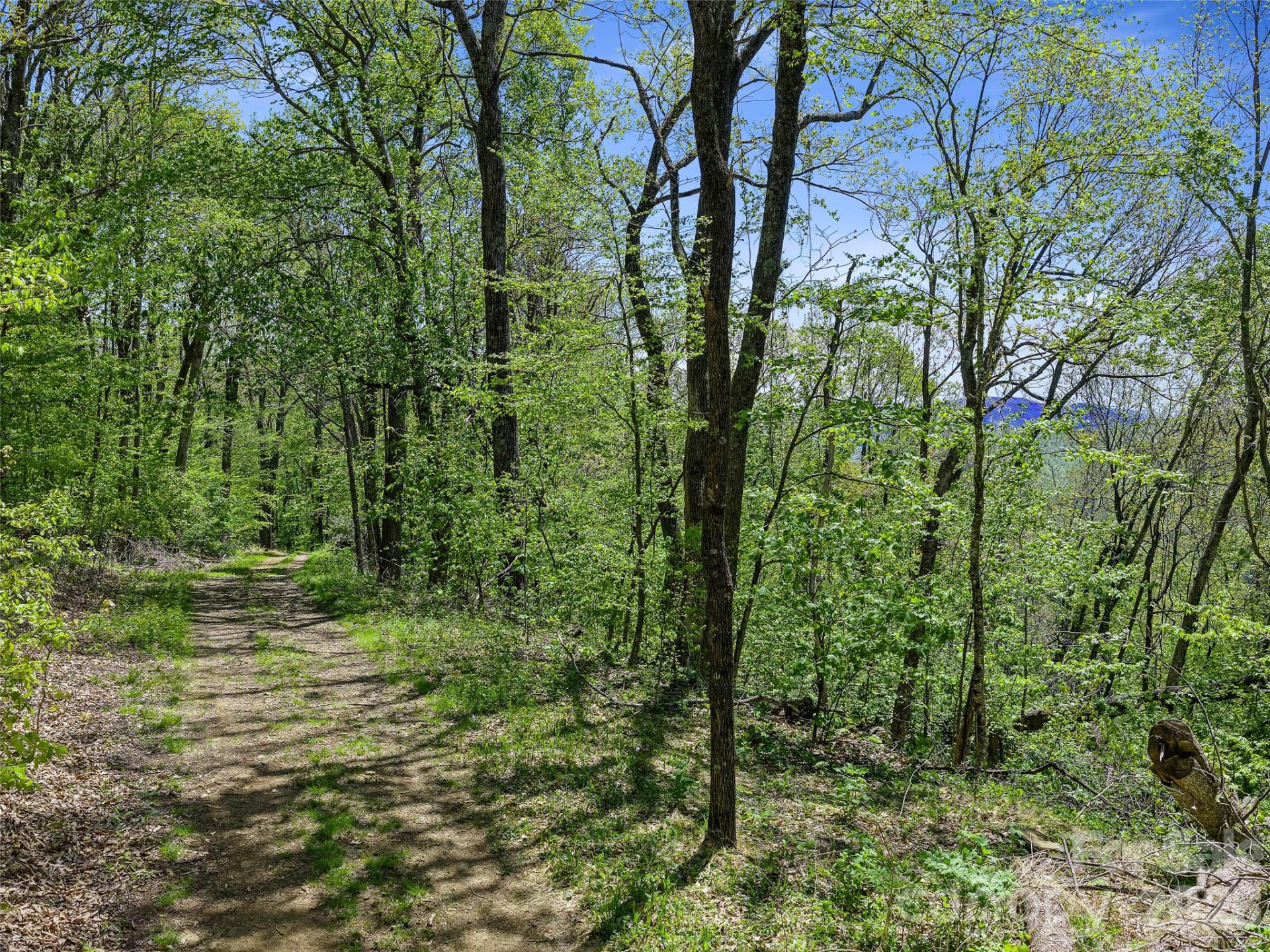 TBD Holly Dale Drive - Photo 8