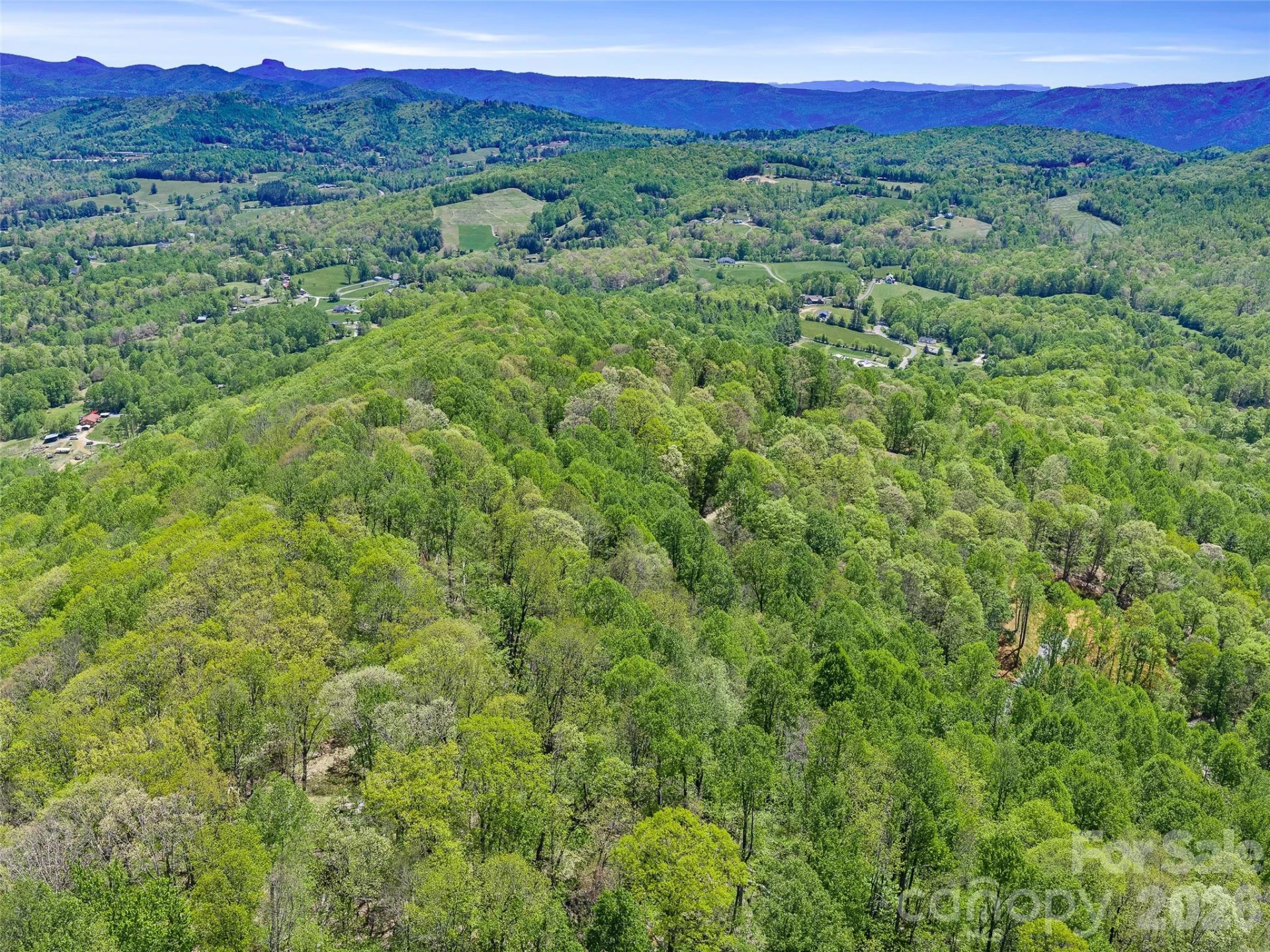 TBD Holly Dale Drive - Photo 9