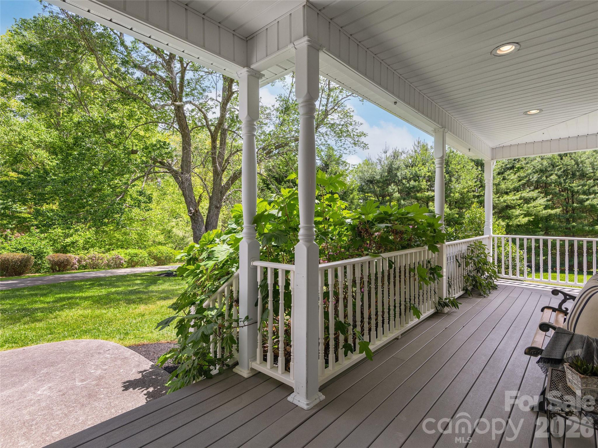 224 Hydrangea Drive - Photo 4