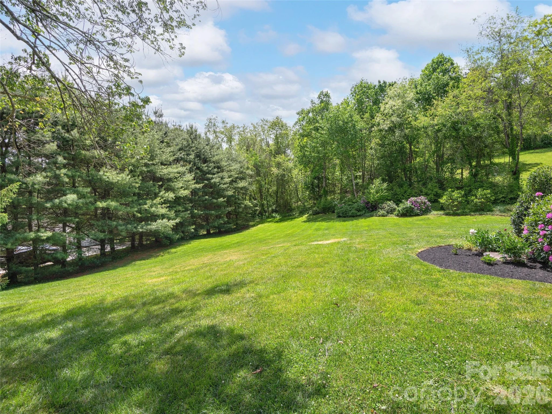 224 Hydrangea Drive - Photo 33