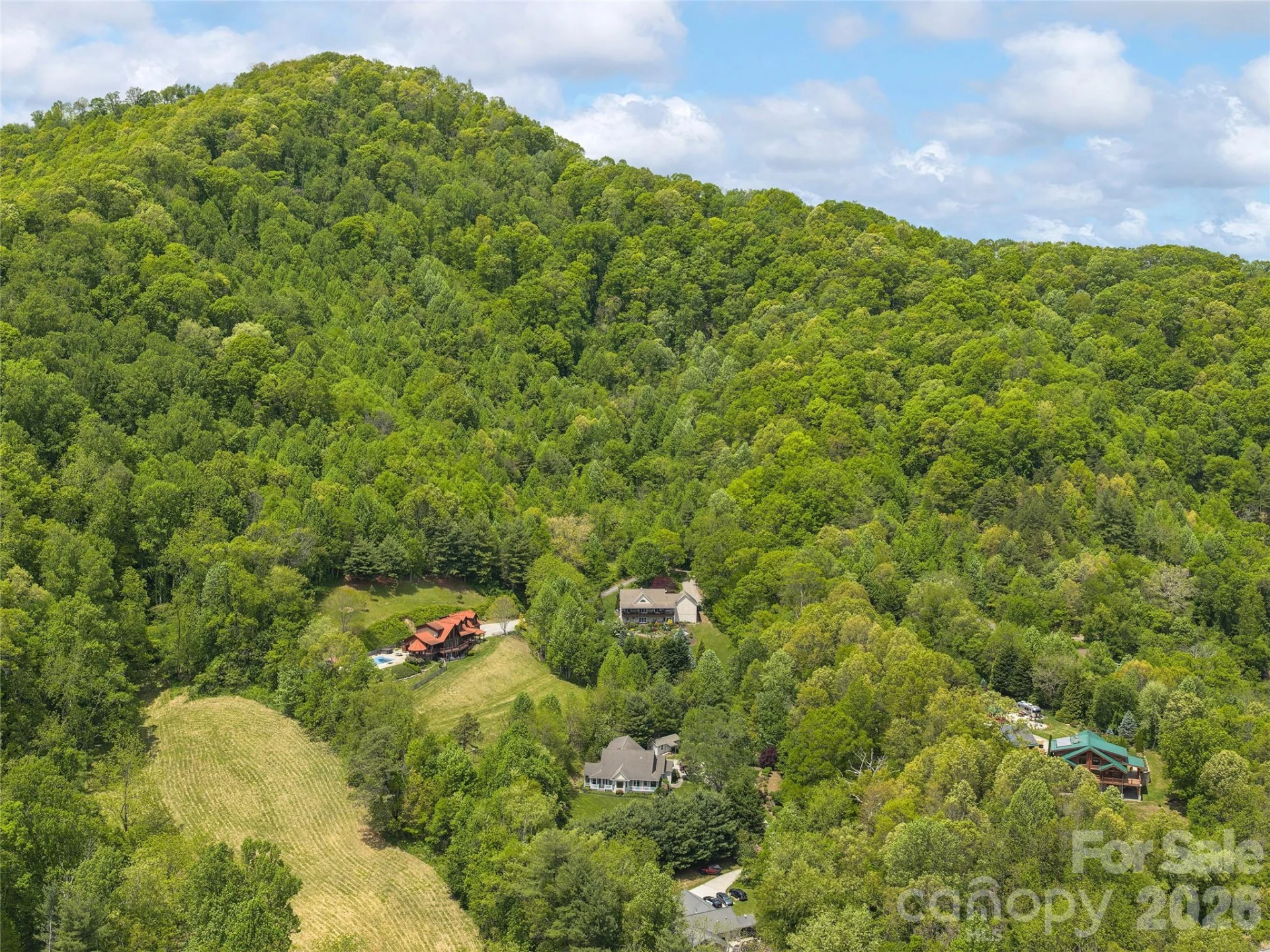 224 Hydrangea Drive - Photo 39