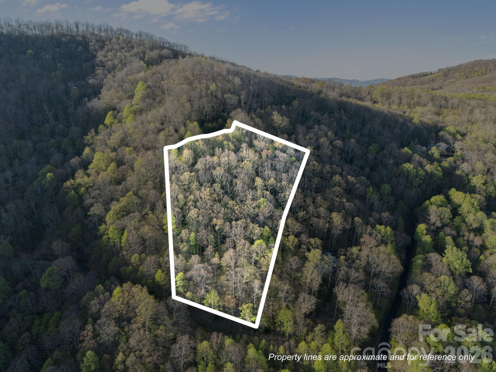 58 Mountain Azalea Drive