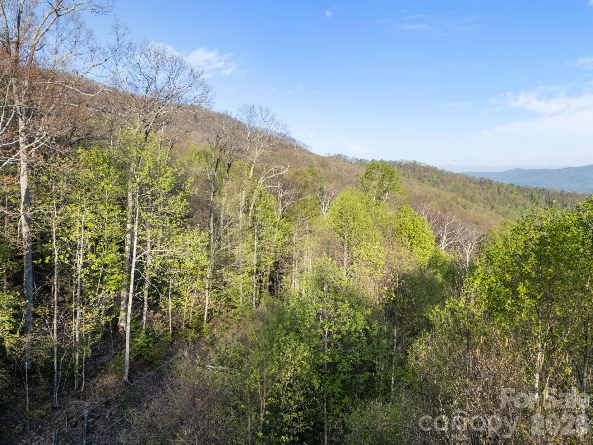 58 Mountain Azalea Drive - Photo 2