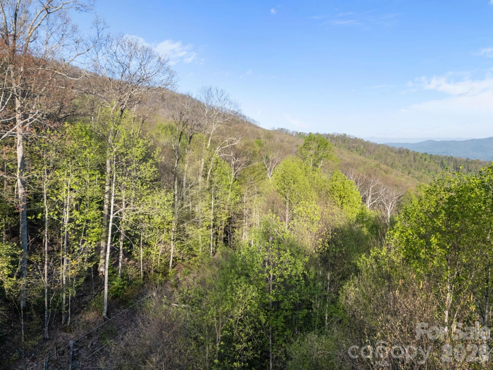 58 Mountain Azalea Drive - Photo 2