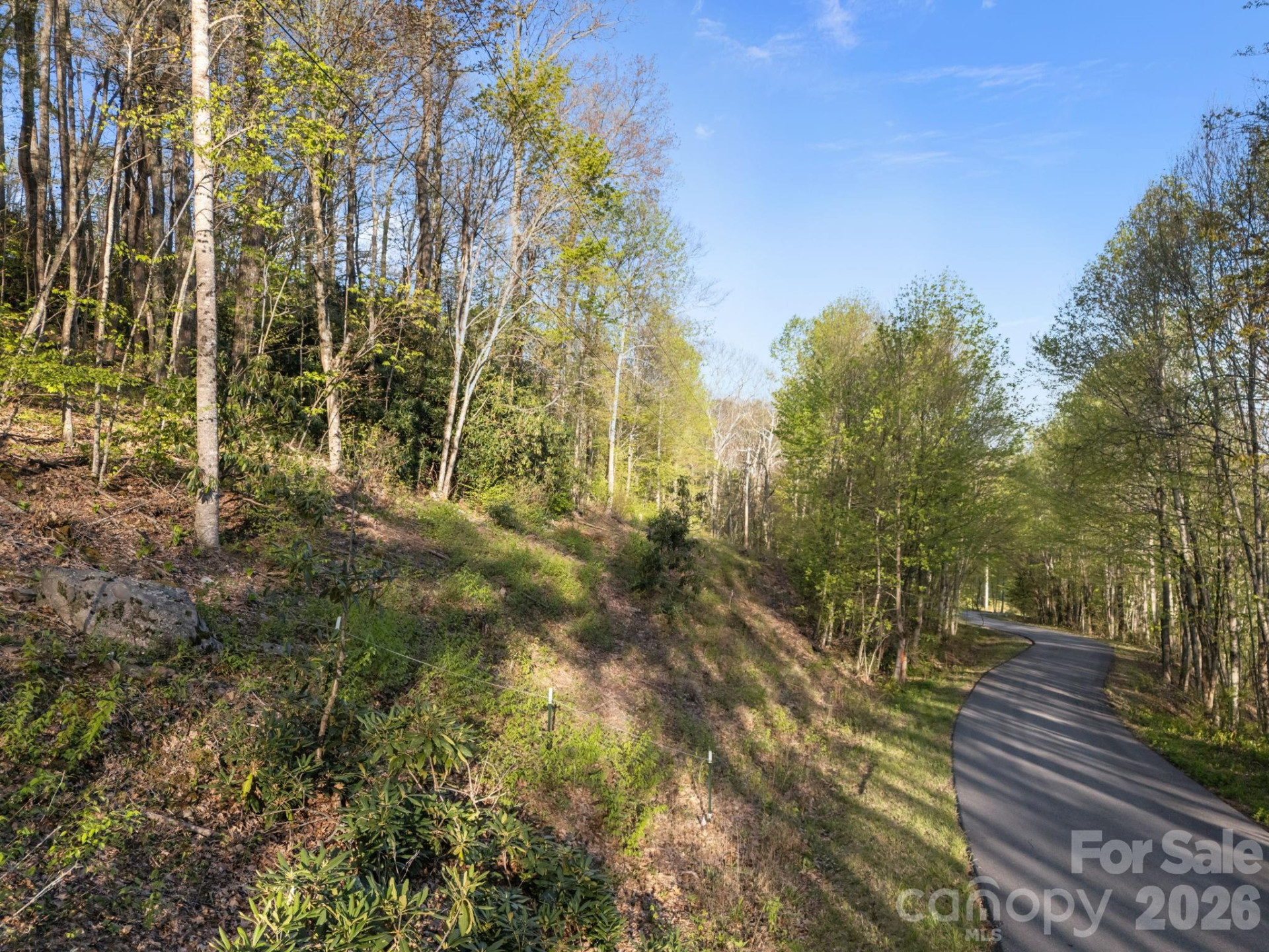 58 Mountain Azalea Drive - Photo 11