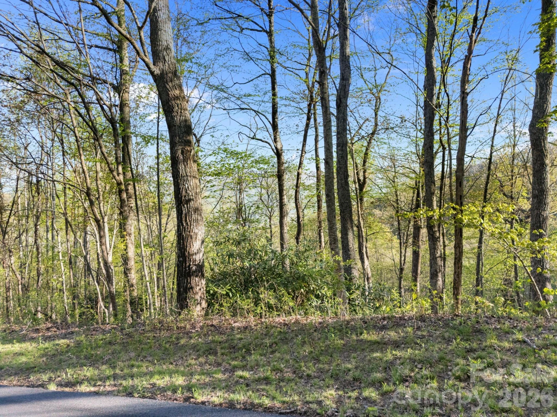 58 Mountain Azalea Drive - Photo 12