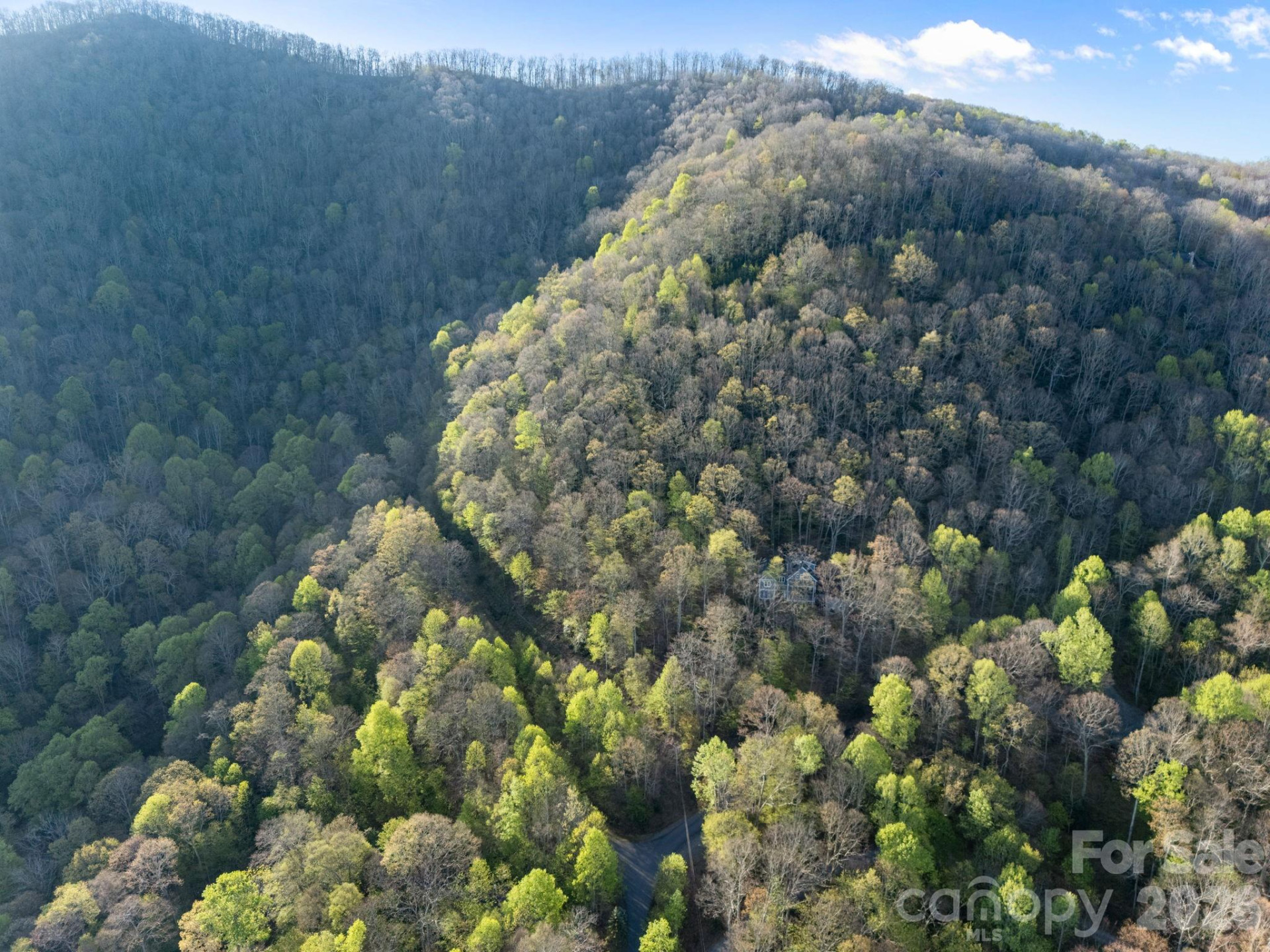 58 Mountain Azalea Drive - Photo 14