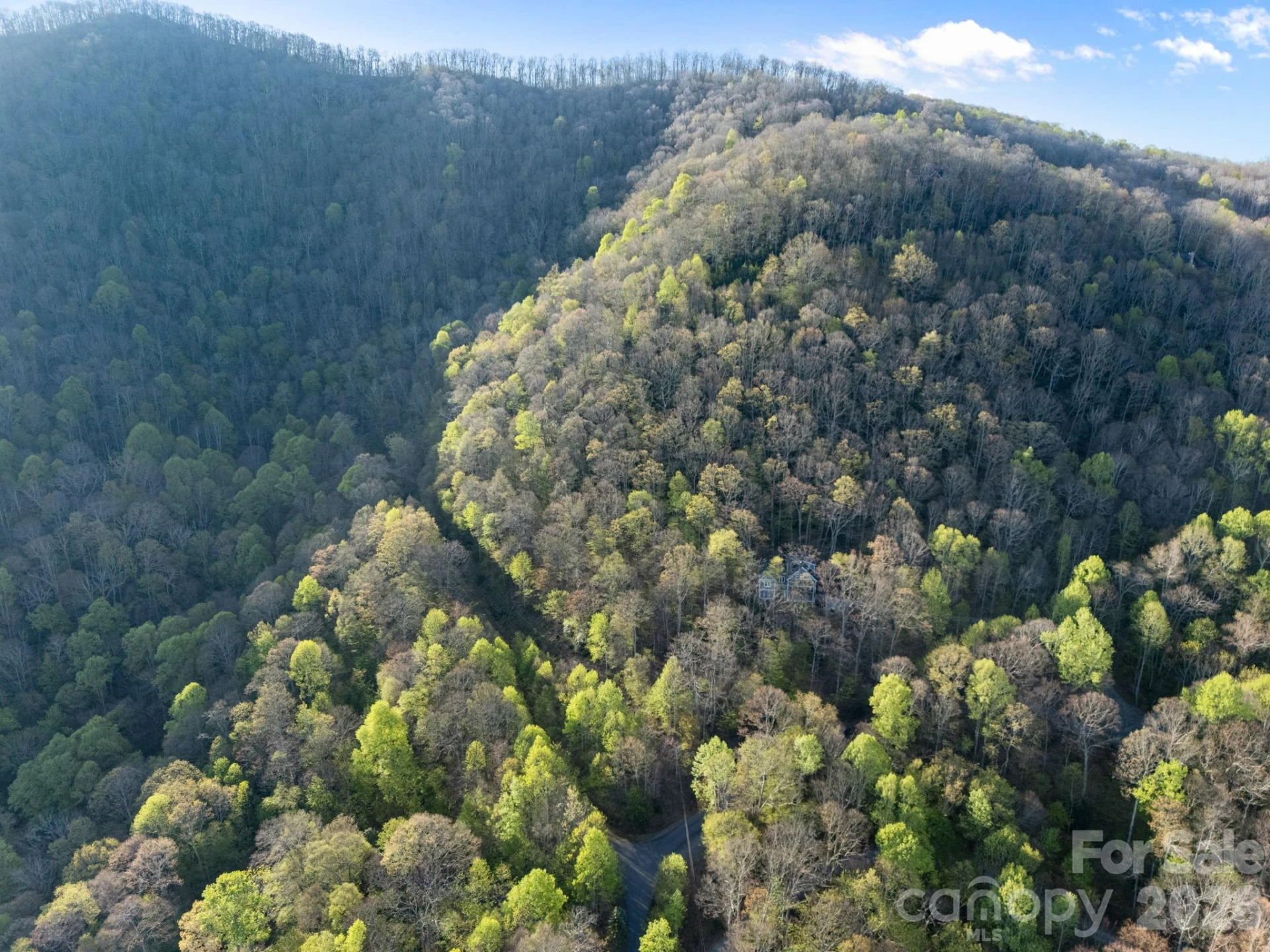 58 Mountain Azalea Drive - Photo 14
