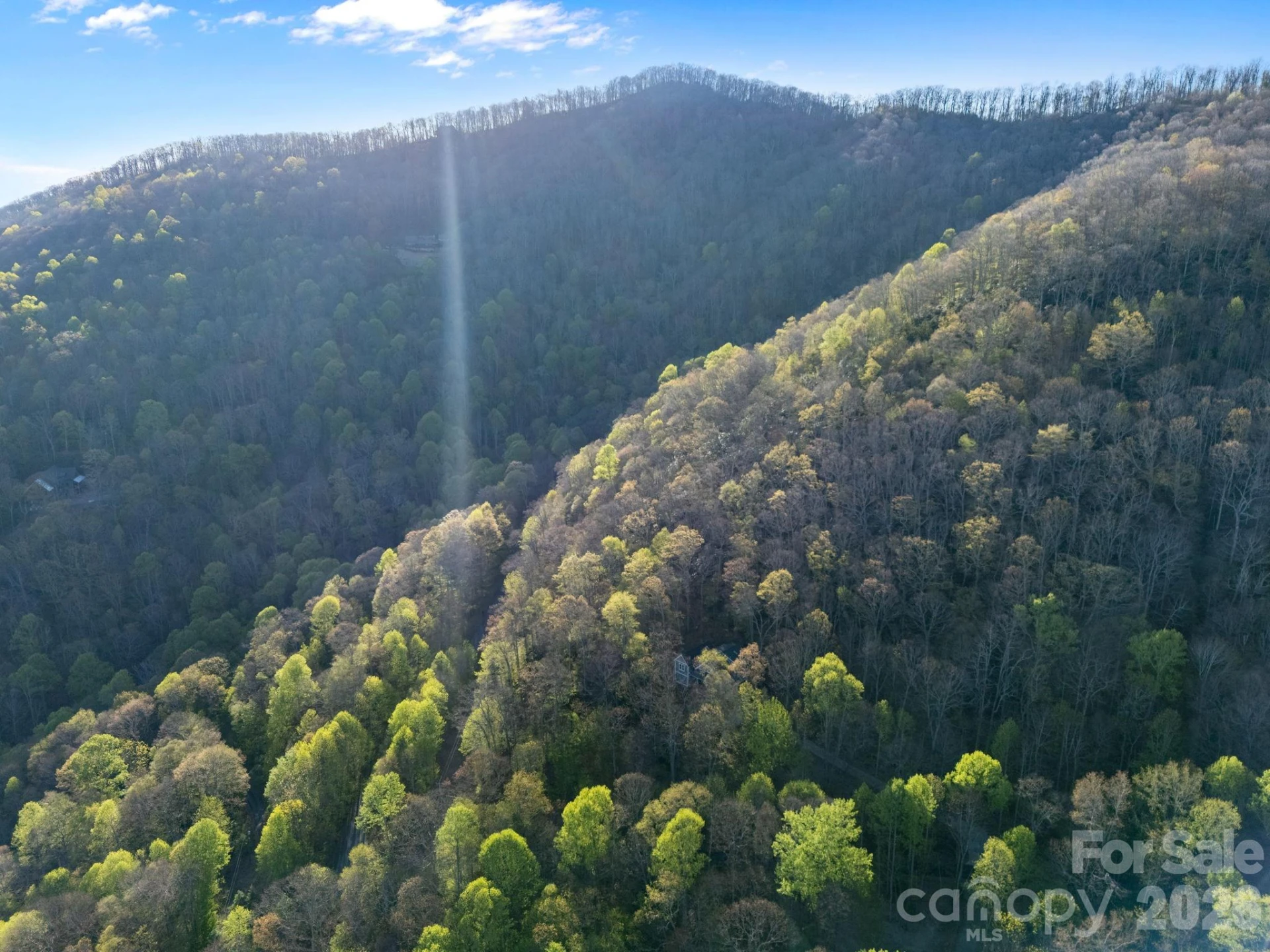 58 Mountain Azalea Drive - Photo 15