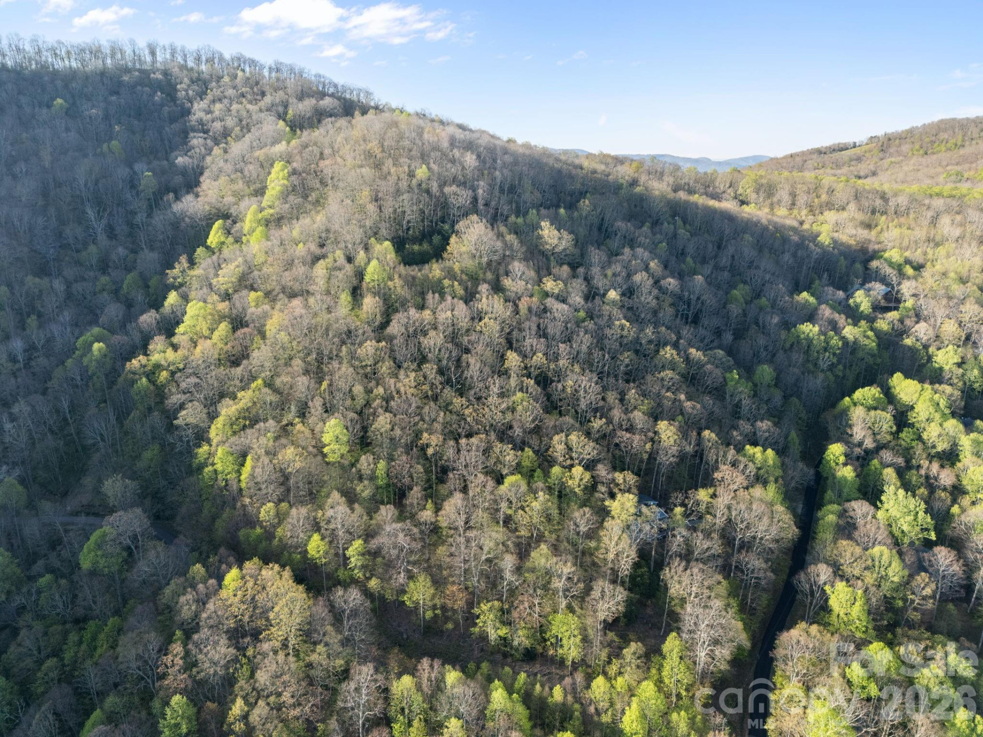 58 Mountain Azalea Drive - Photo 3