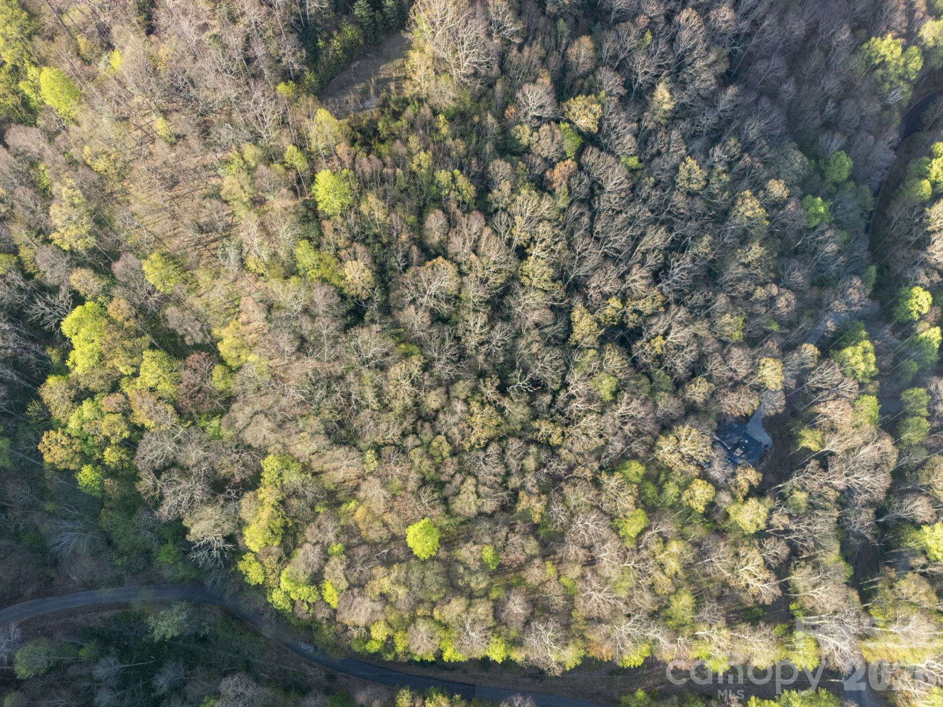 58 Mountain Azalea Drive - Photo 4
