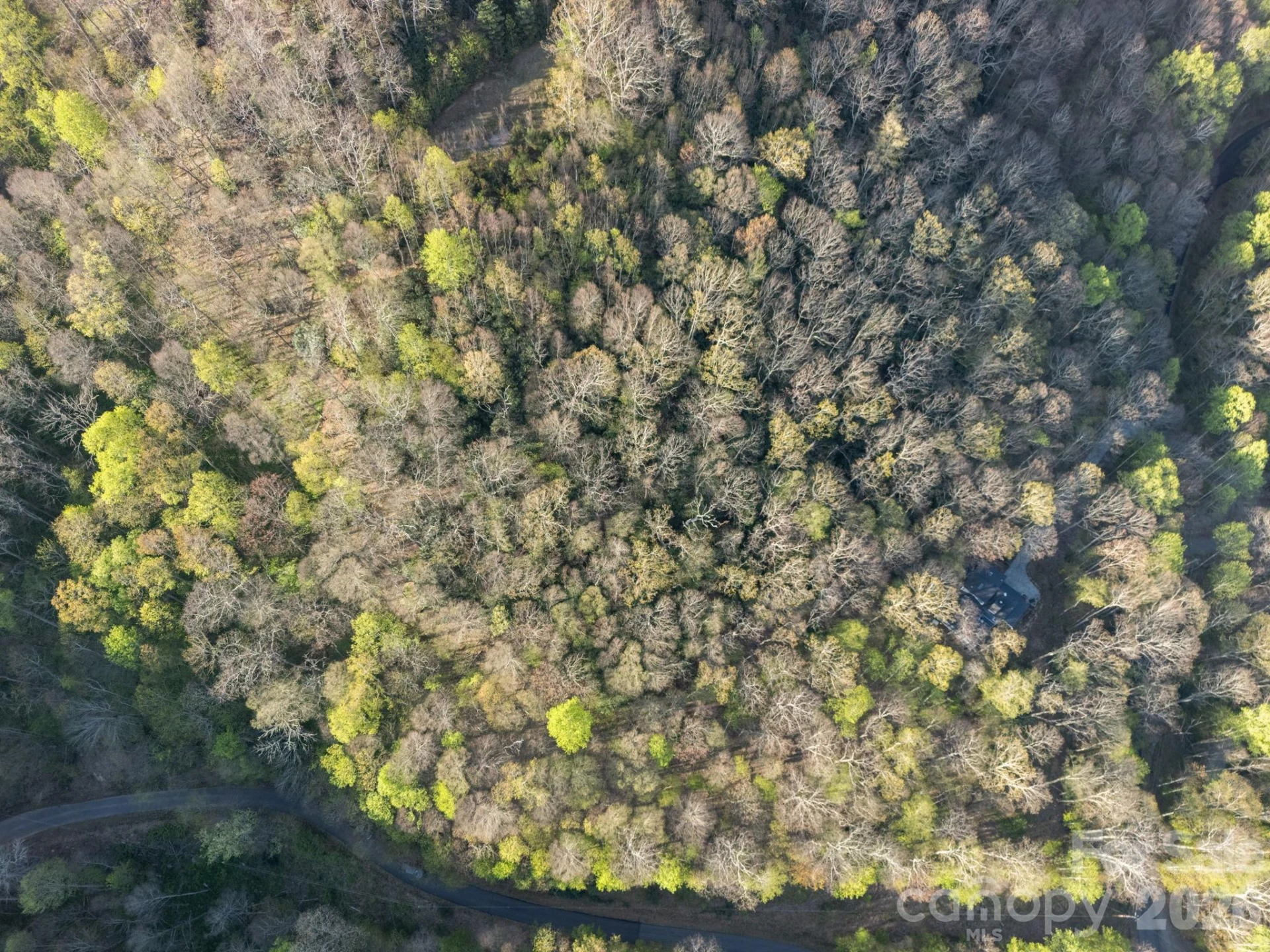 58 Mountain Azalea Drive - Photo 4