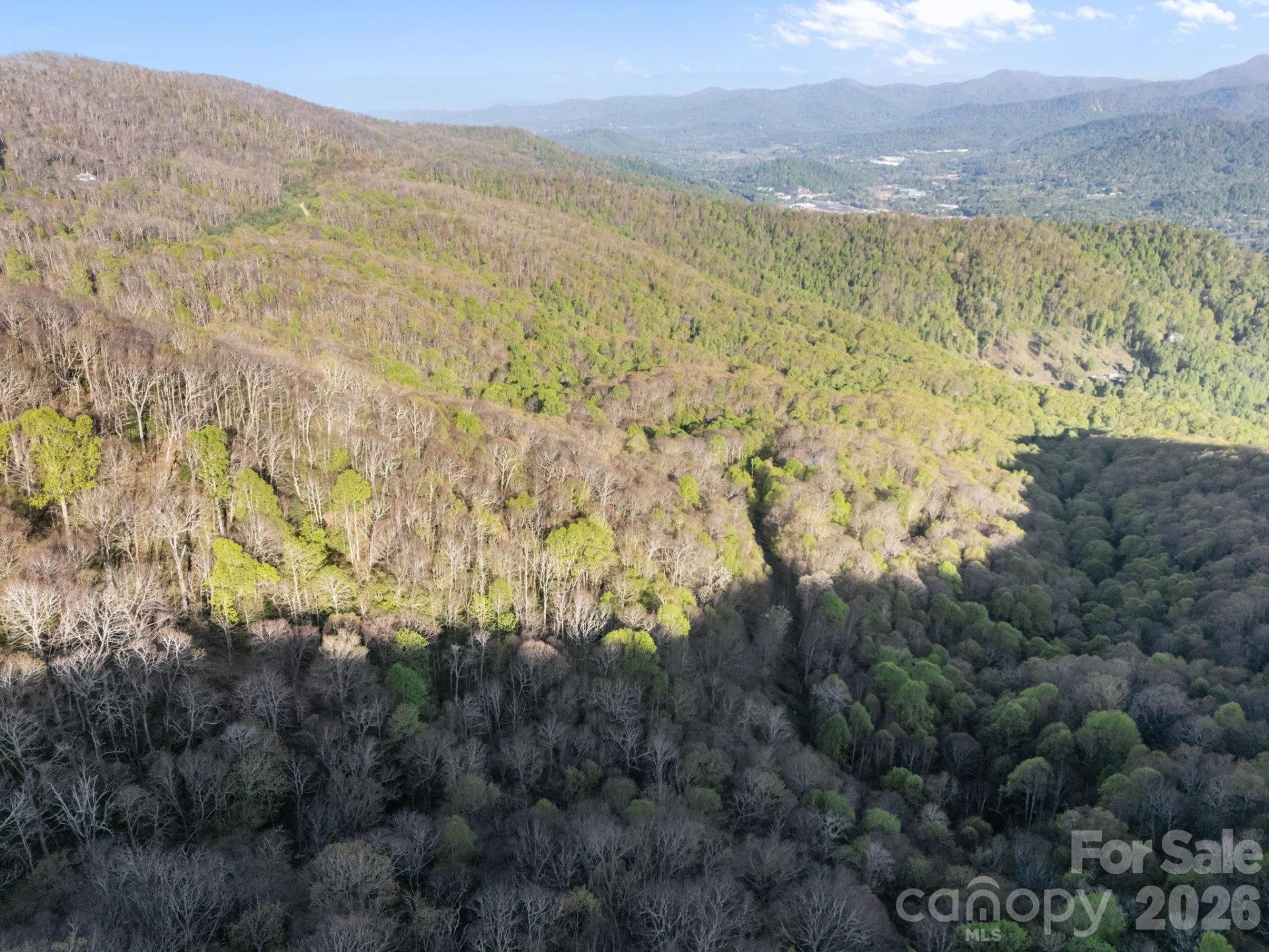 58 Mountain Azalea Drive - Photo 6