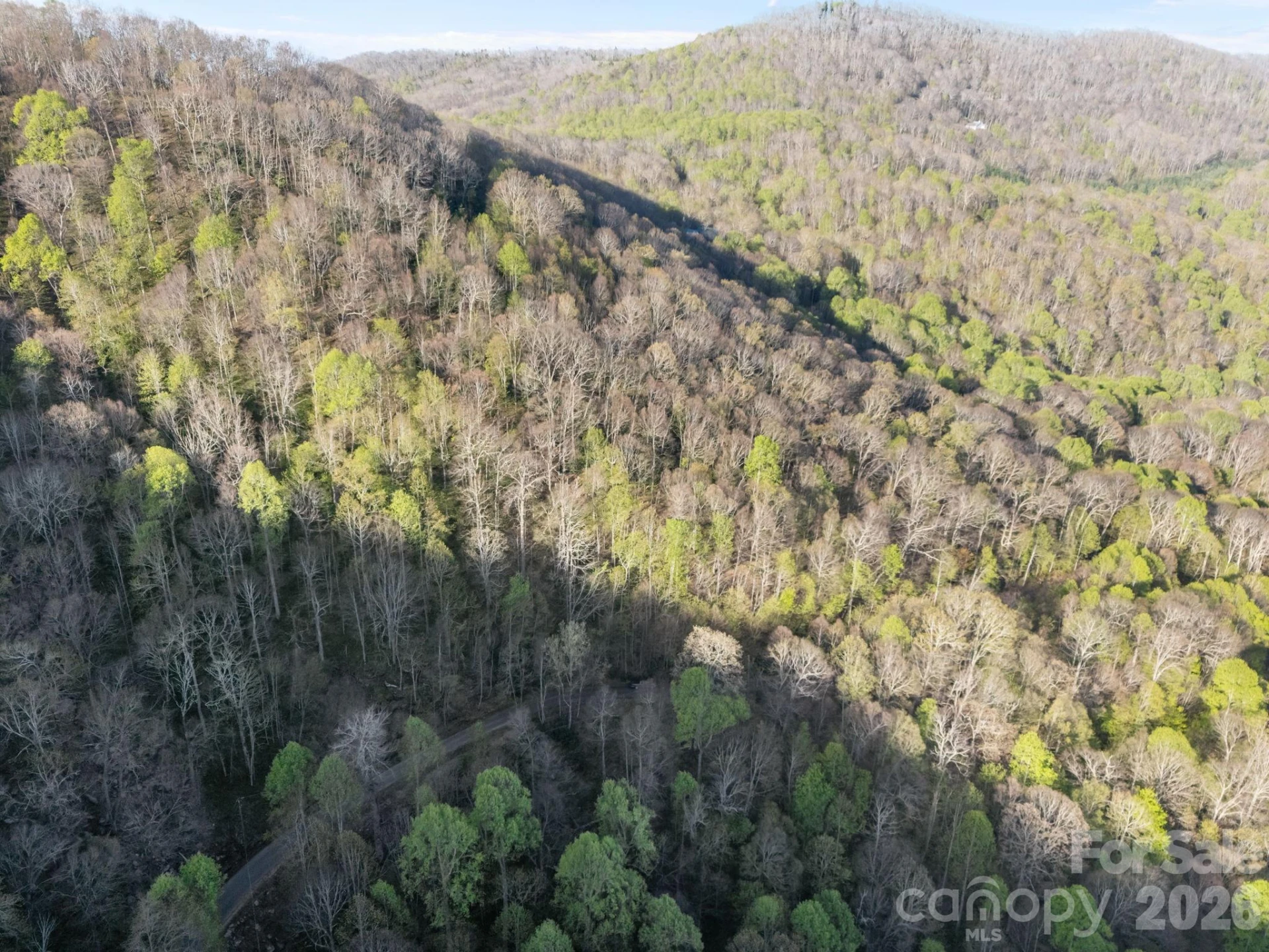58 Mountain Azalea Drive - Photo 7