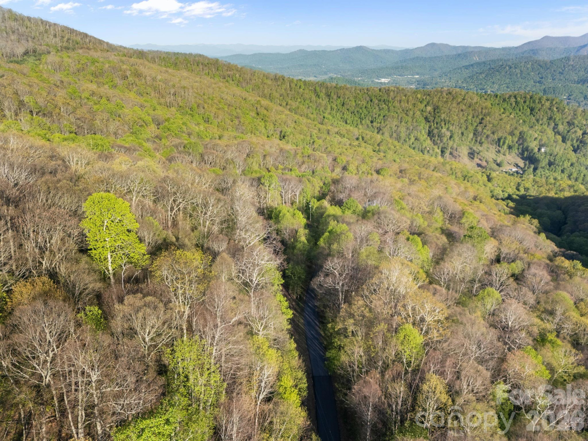 58 Mountain Azalea Drive - Photo 8