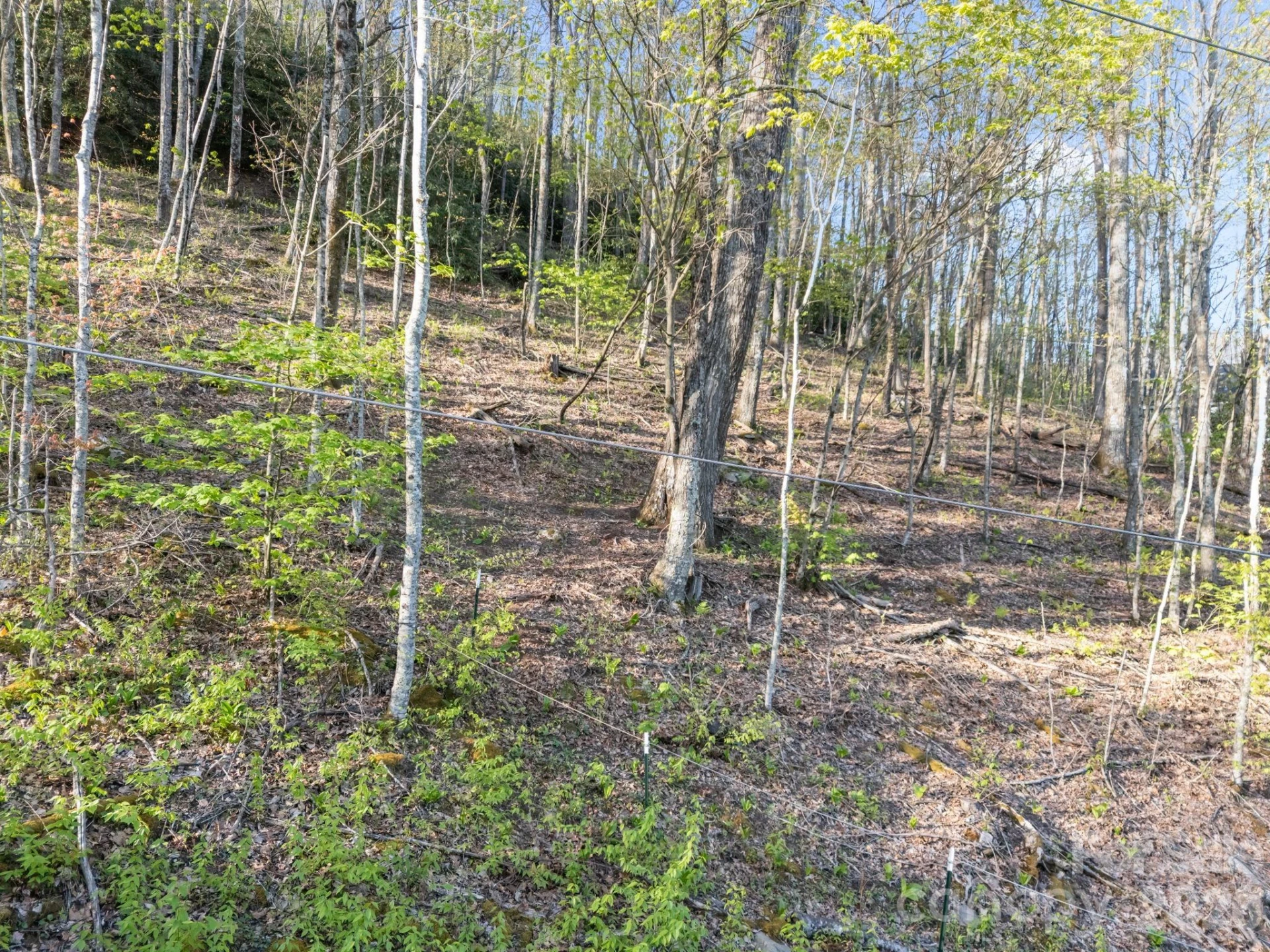 58 Mountain Azalea Drive - Photo 9