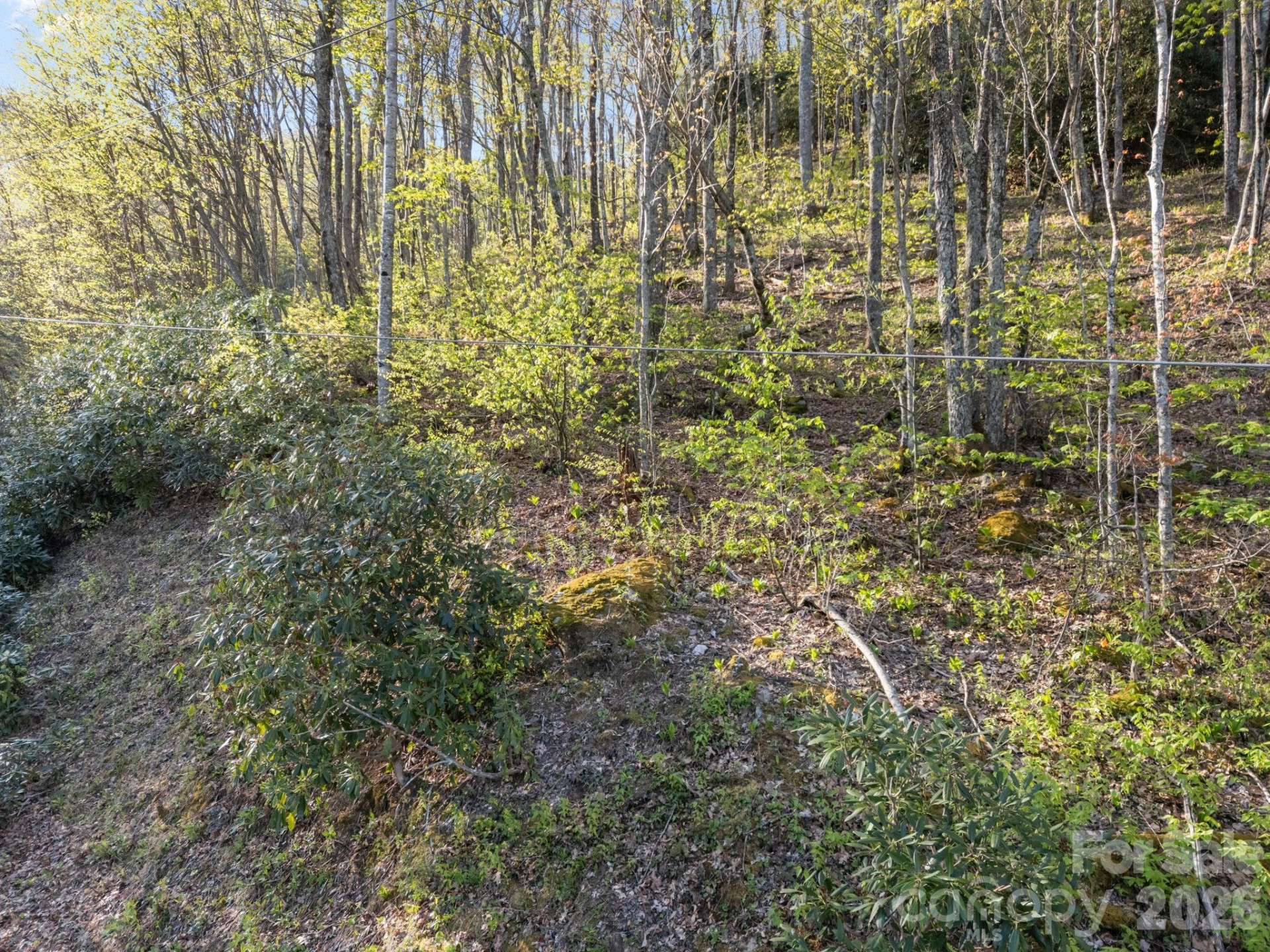 58 Mountain Azalea Drive - Photo 10