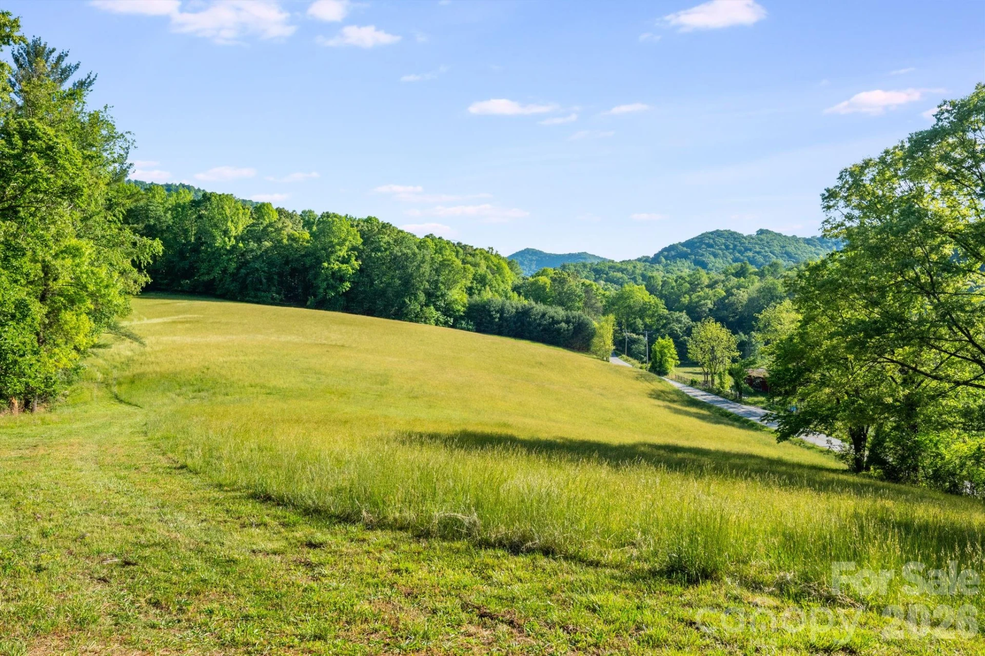 435 Upper Glady Fork Road - Photo 3