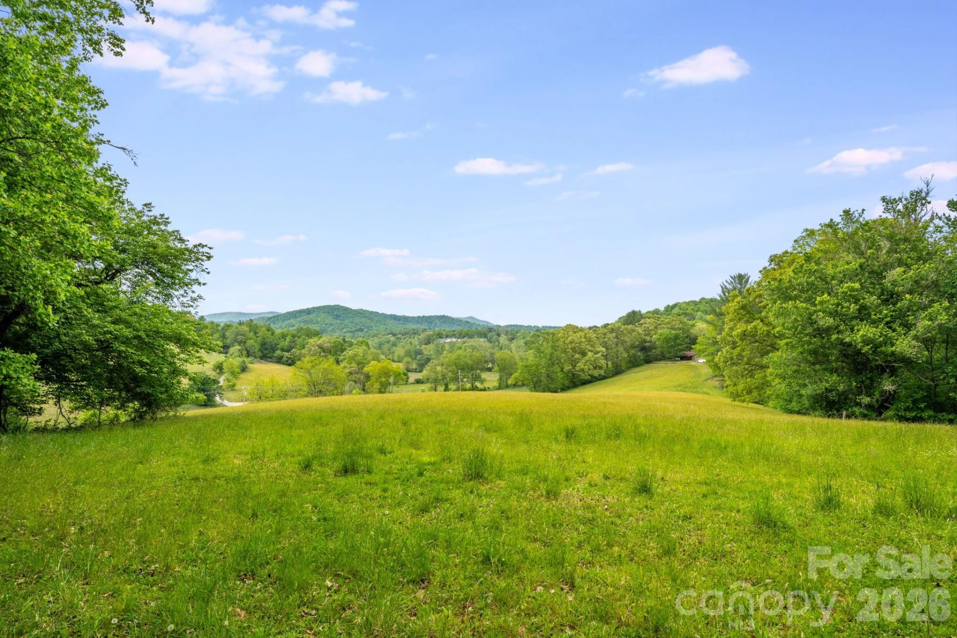 435 Upper Glady Fork Road - Photo 7