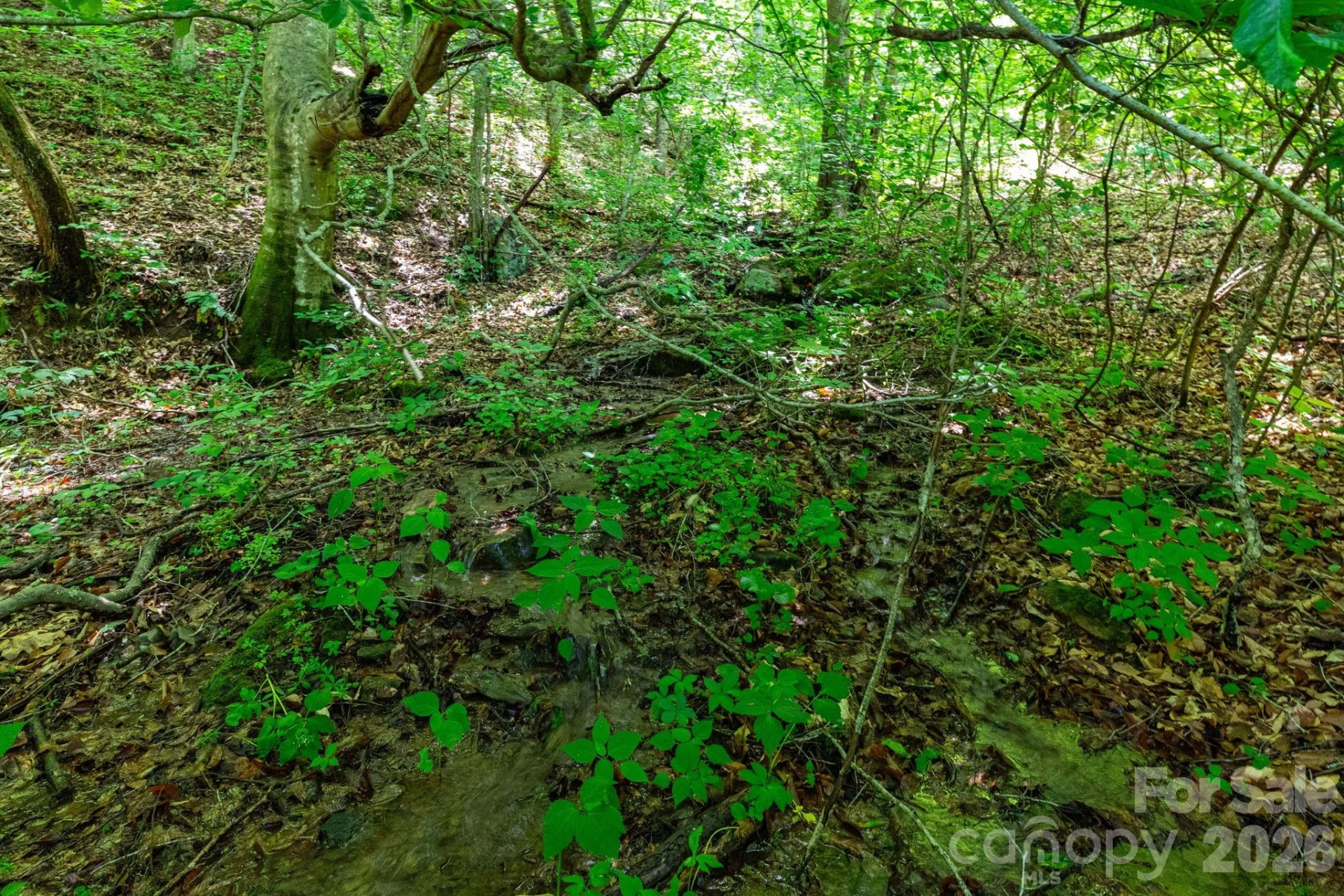 329 Fork Road - Photo 20