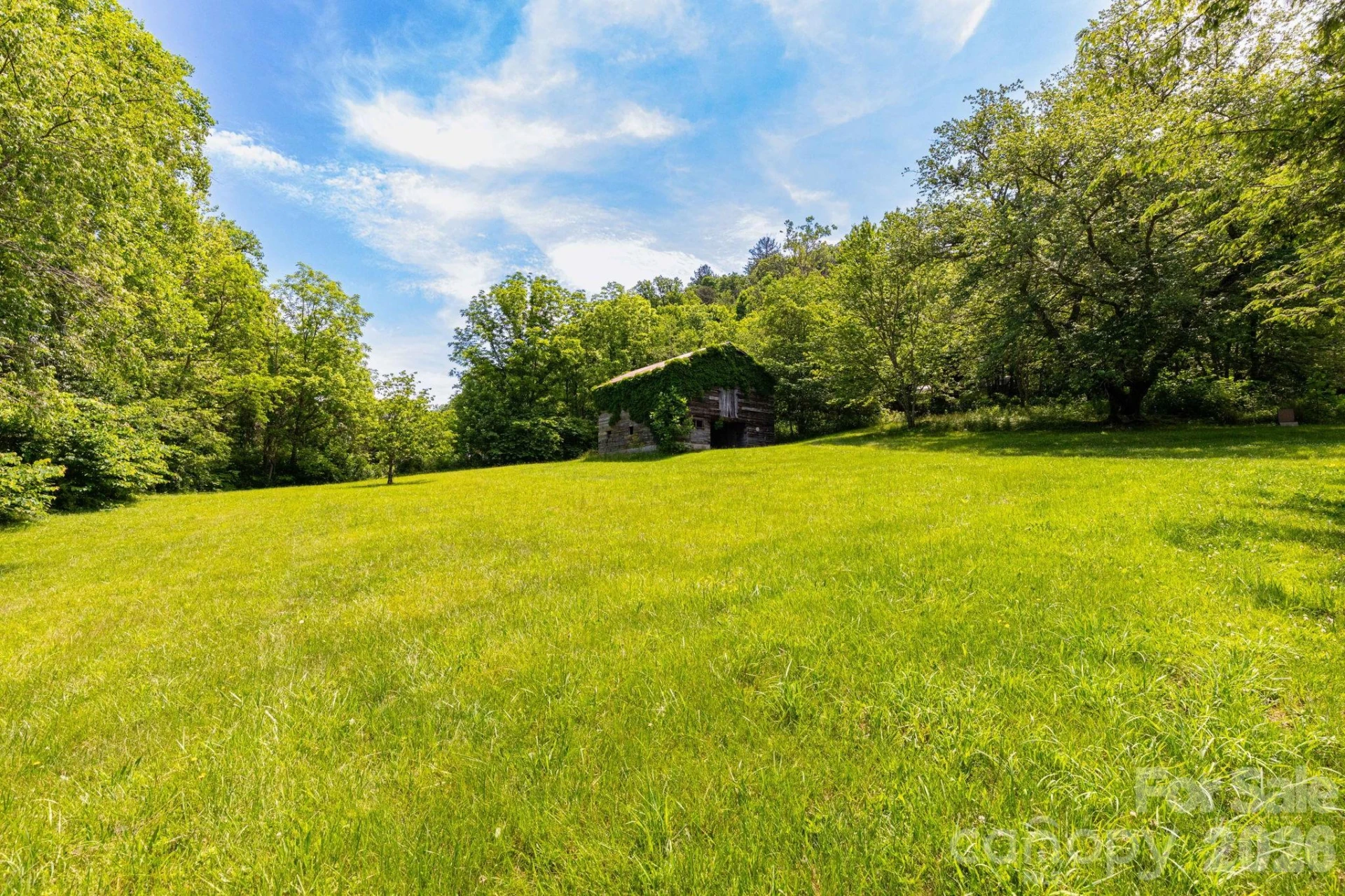 329 Fork Road - Photo 25