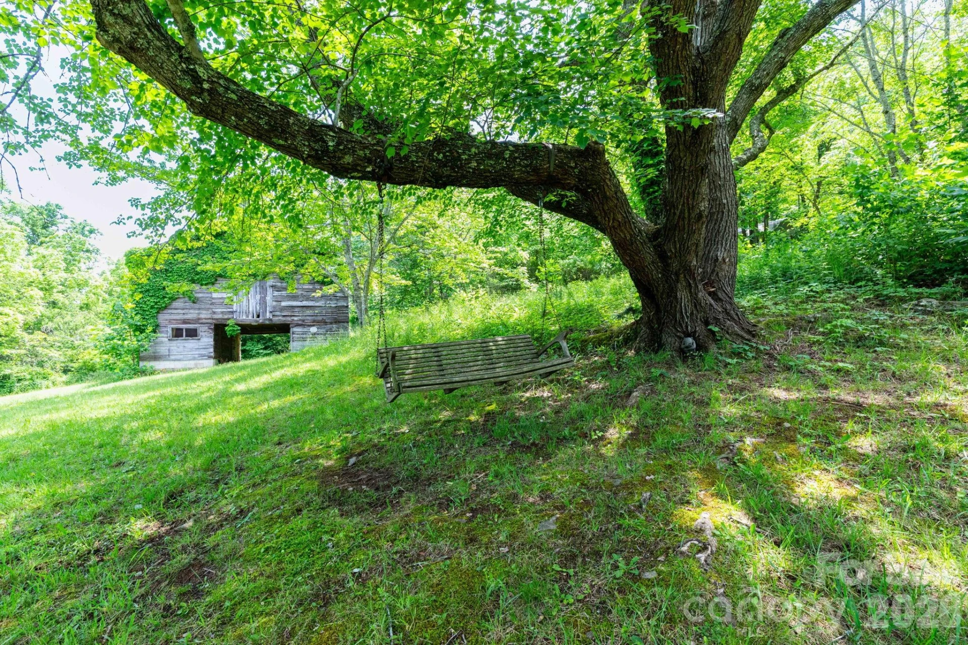 329 Fork Road - Photo 26