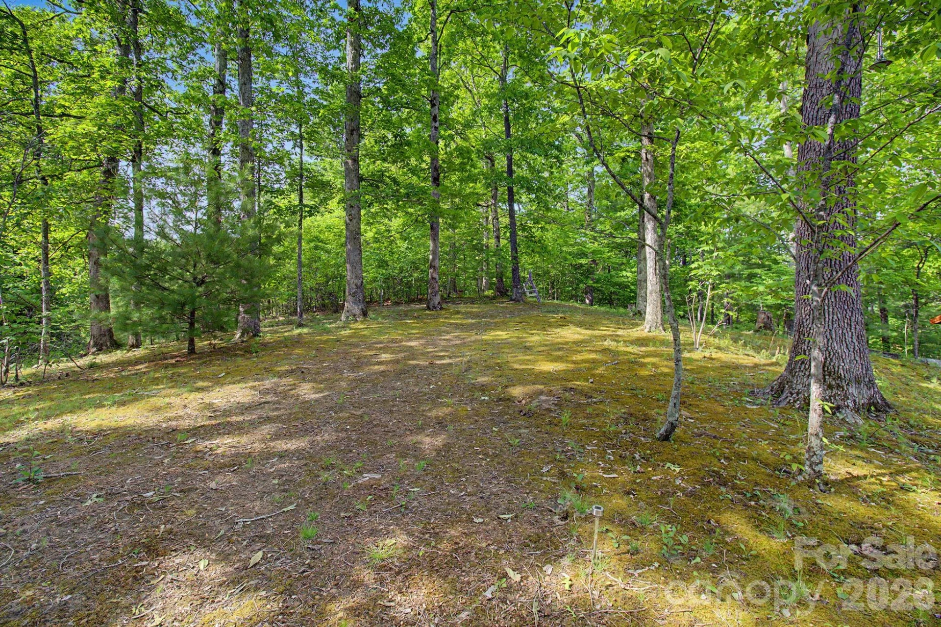 288 Rebel Drive - Photo 40