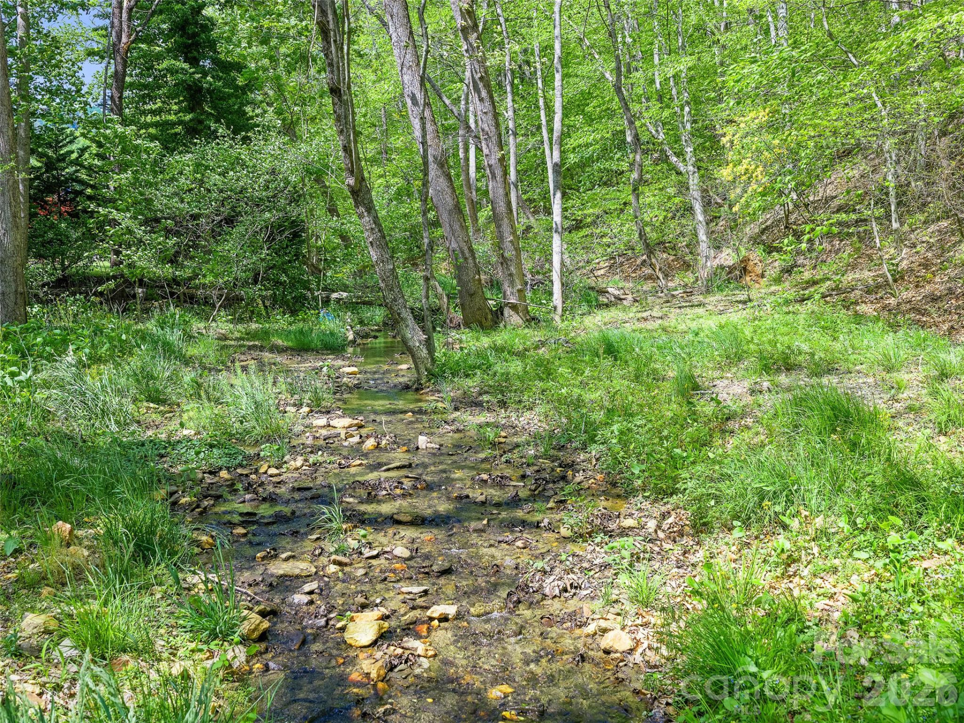 886 Three Quarter Creek Road - Photo 19