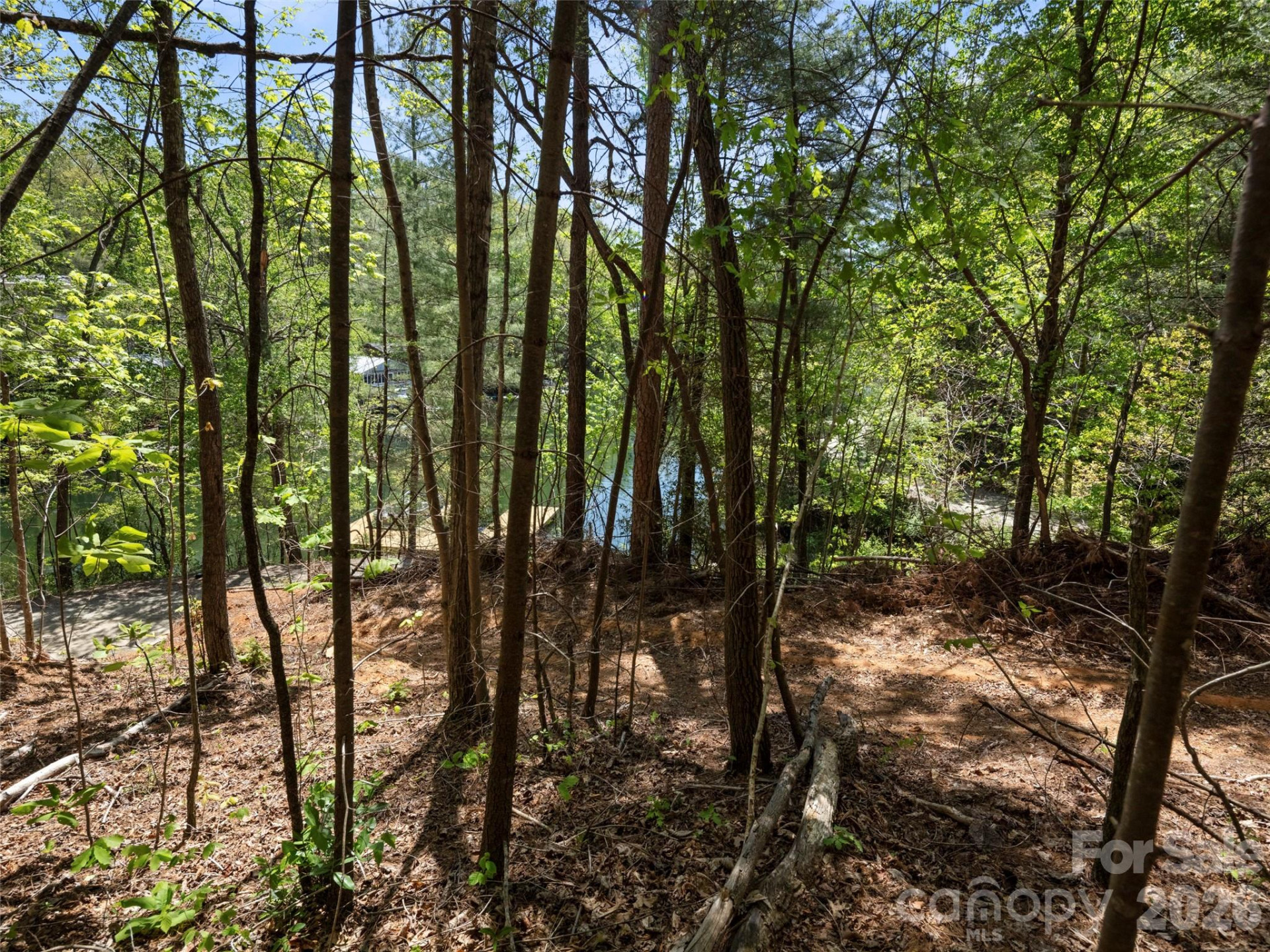 99999 N Lake Summit Road - Photo 12