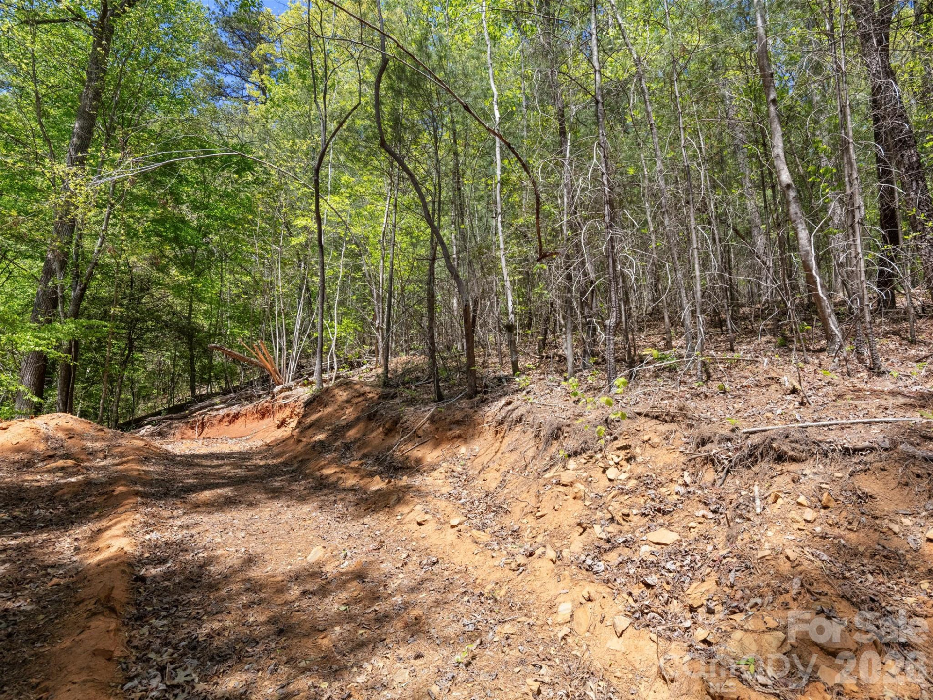 99999 N Lake Summit Road - Photo 13