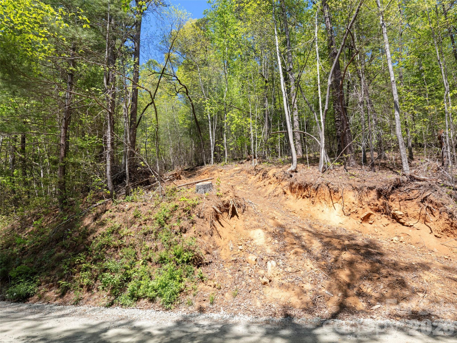 99999 N Lake Summit Road - Photo 10