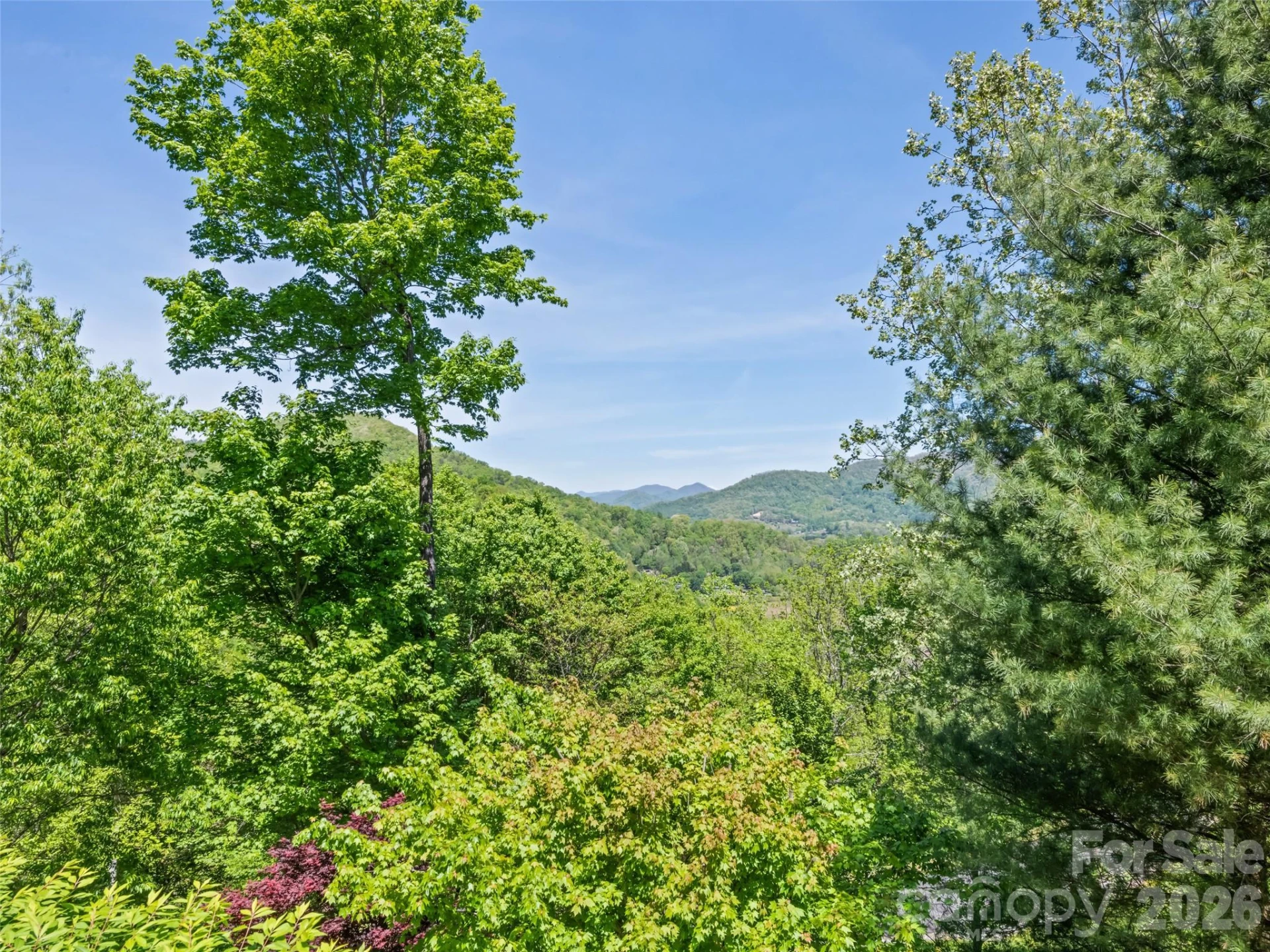 970 Campbell Mountain Drive - Photo 29