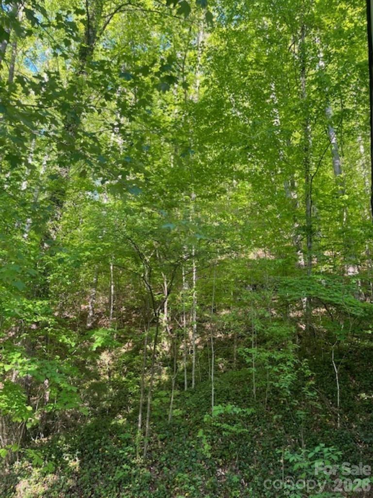 50 Wabash Drive - Photo 12