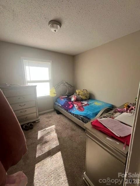 122 Birchwood Drive - Photo 12