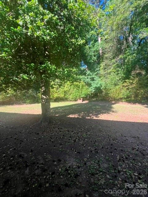 122 Birchwood Drive - Photo 10